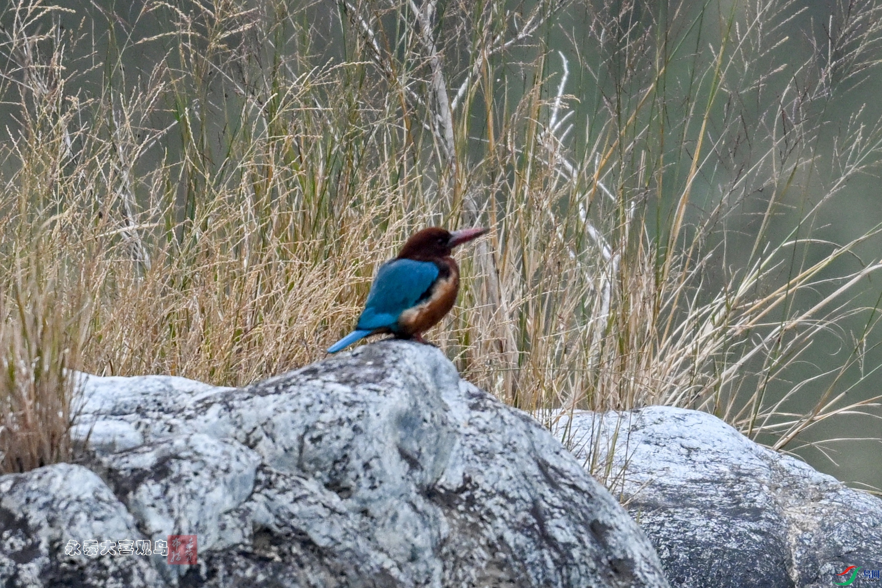 DSC_6697.JPG