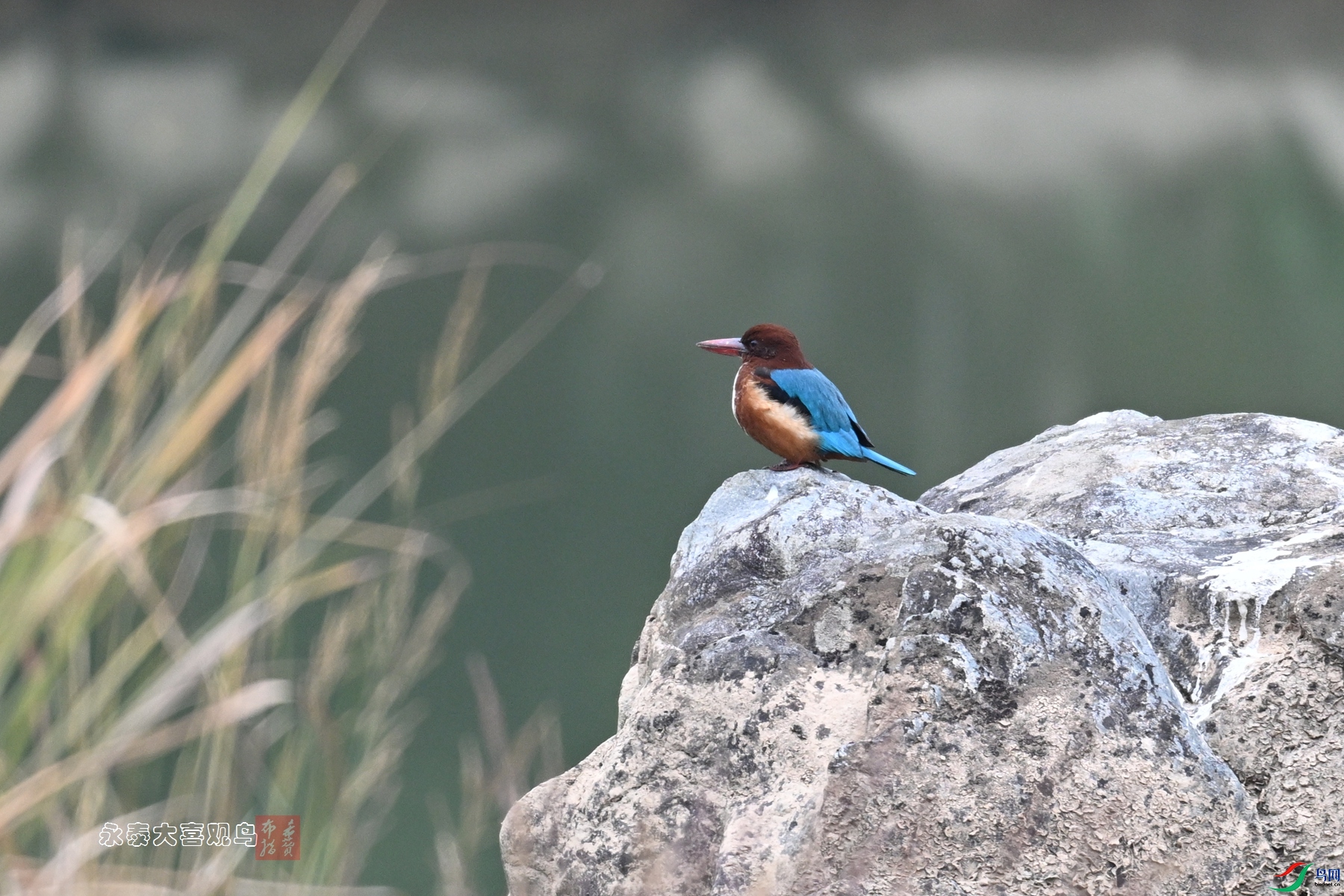 DSC_6789.JPG