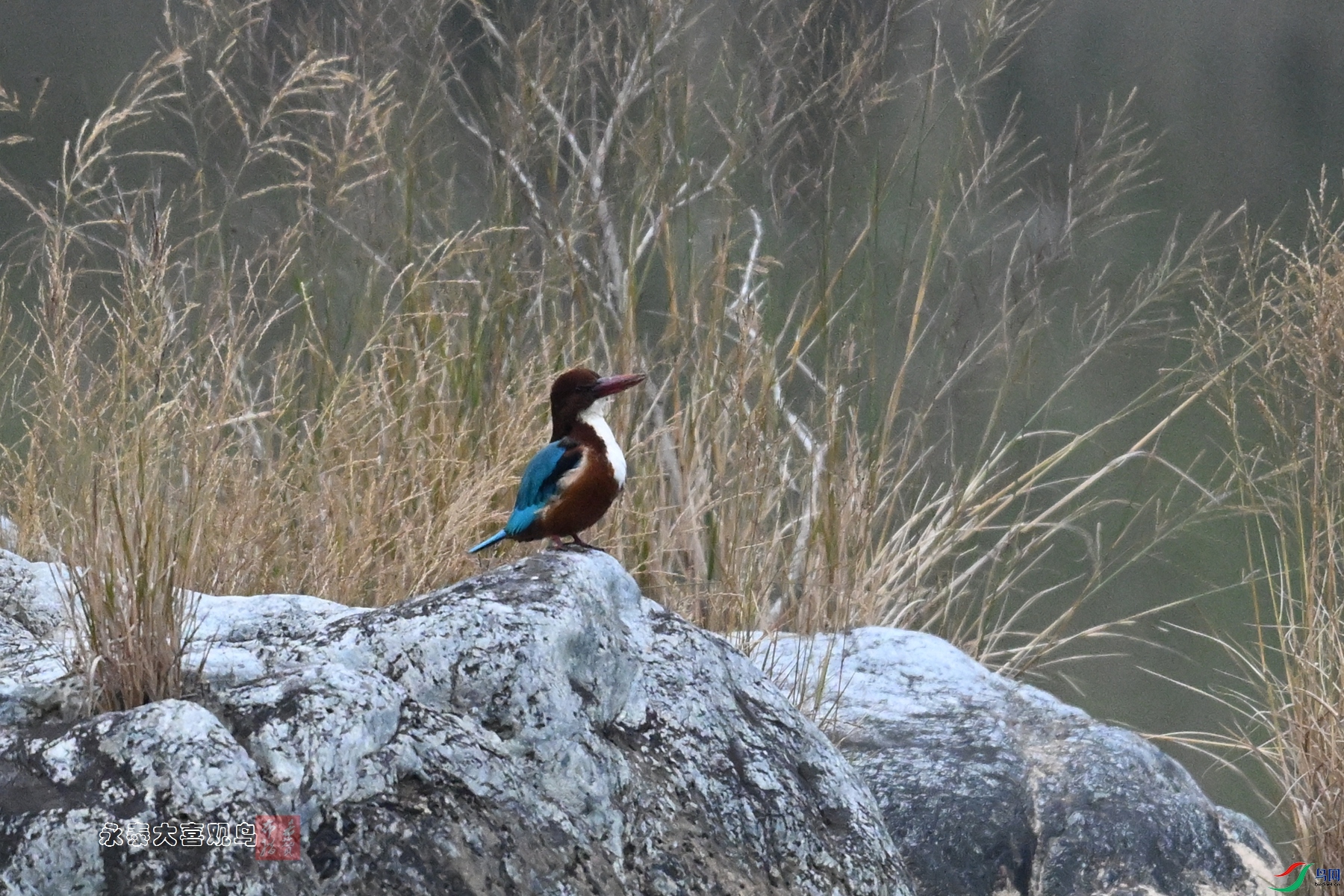 DSC_6675.JPG