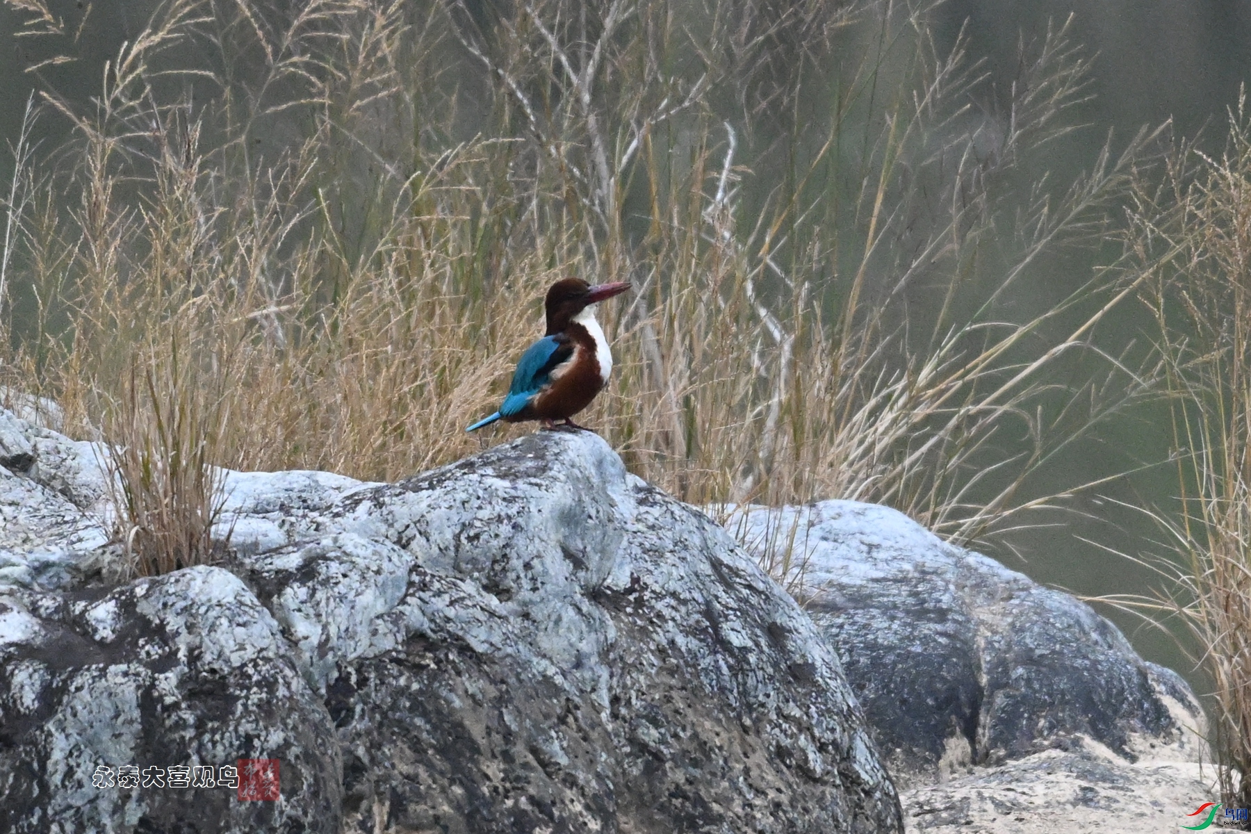 DSC_6676.JPG
