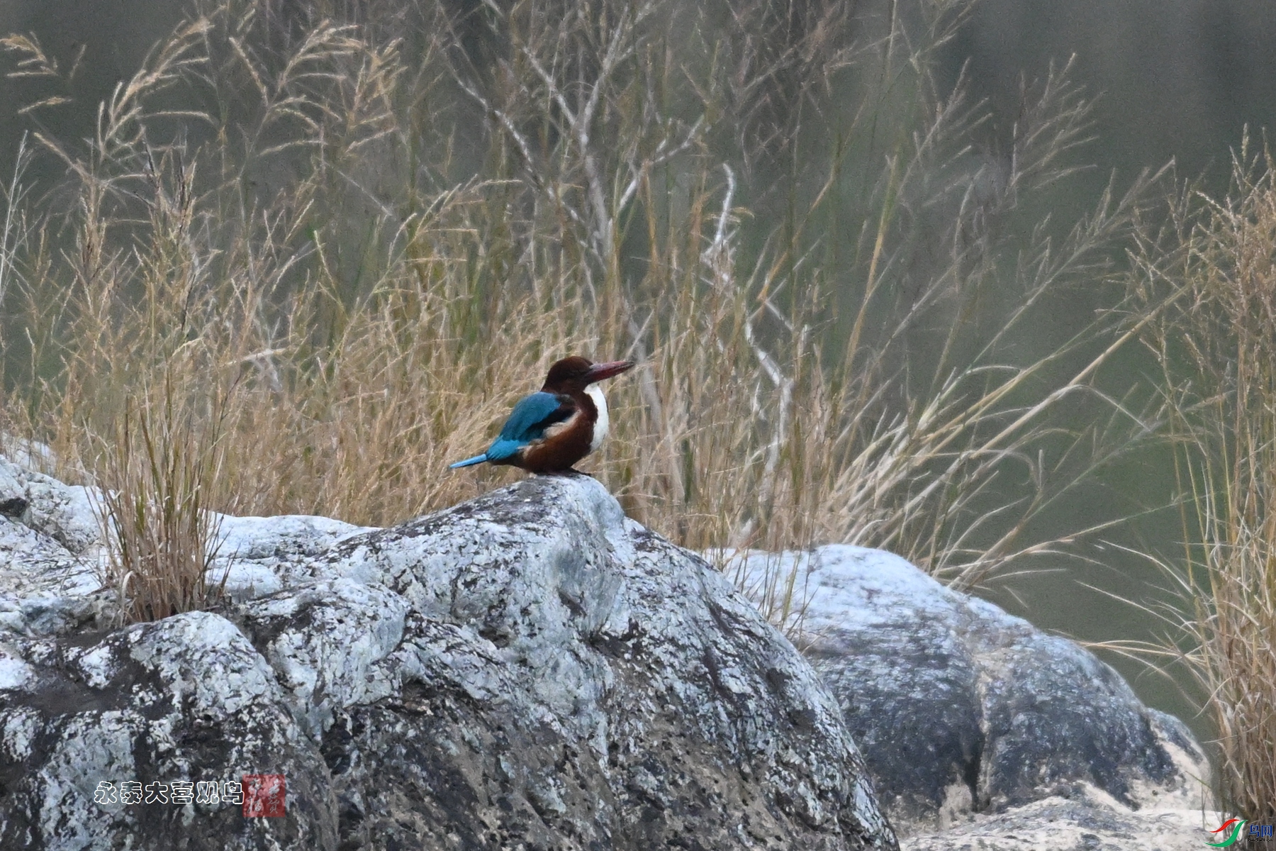 DSC_6678.JPG