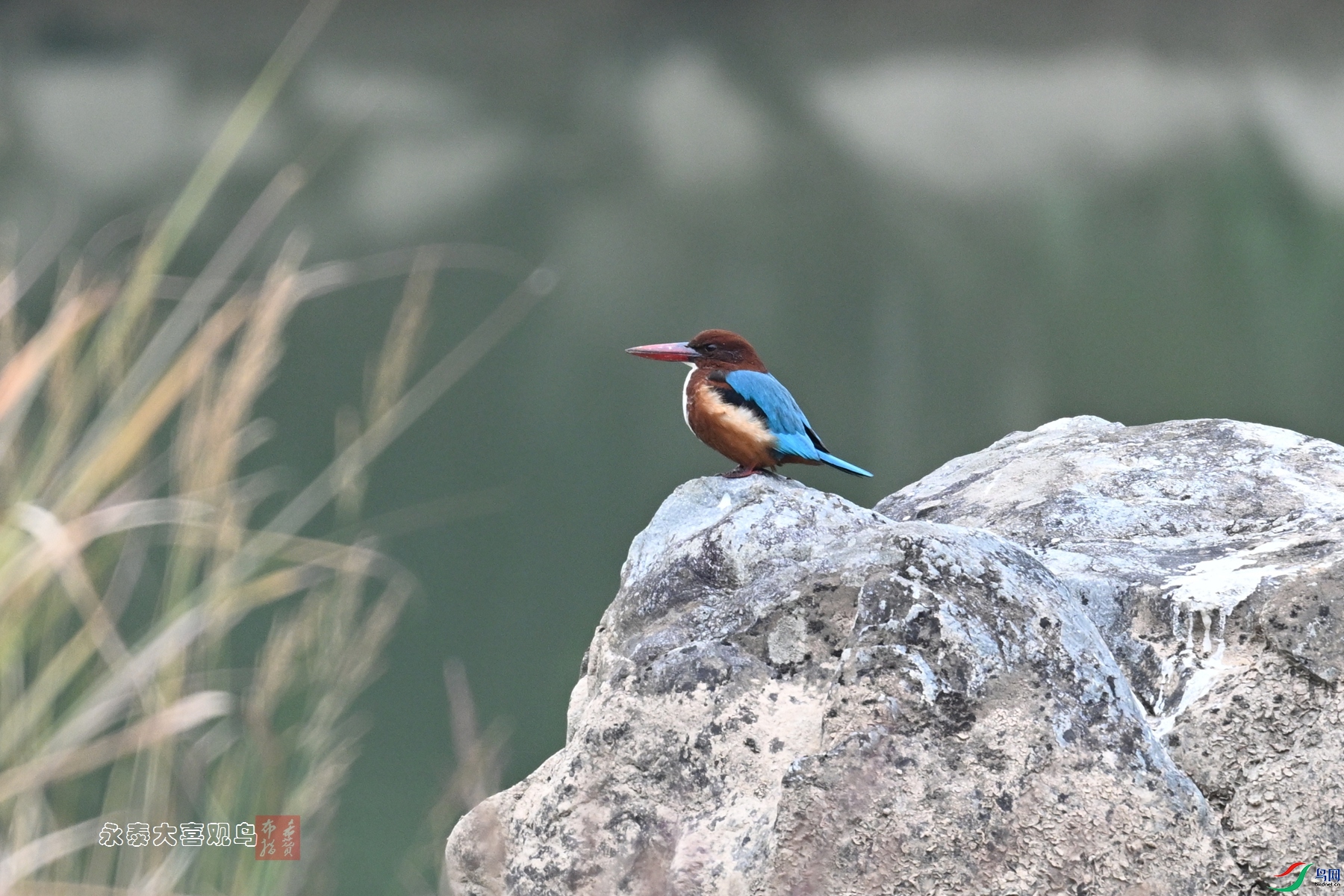 DSC_6793.JPG
