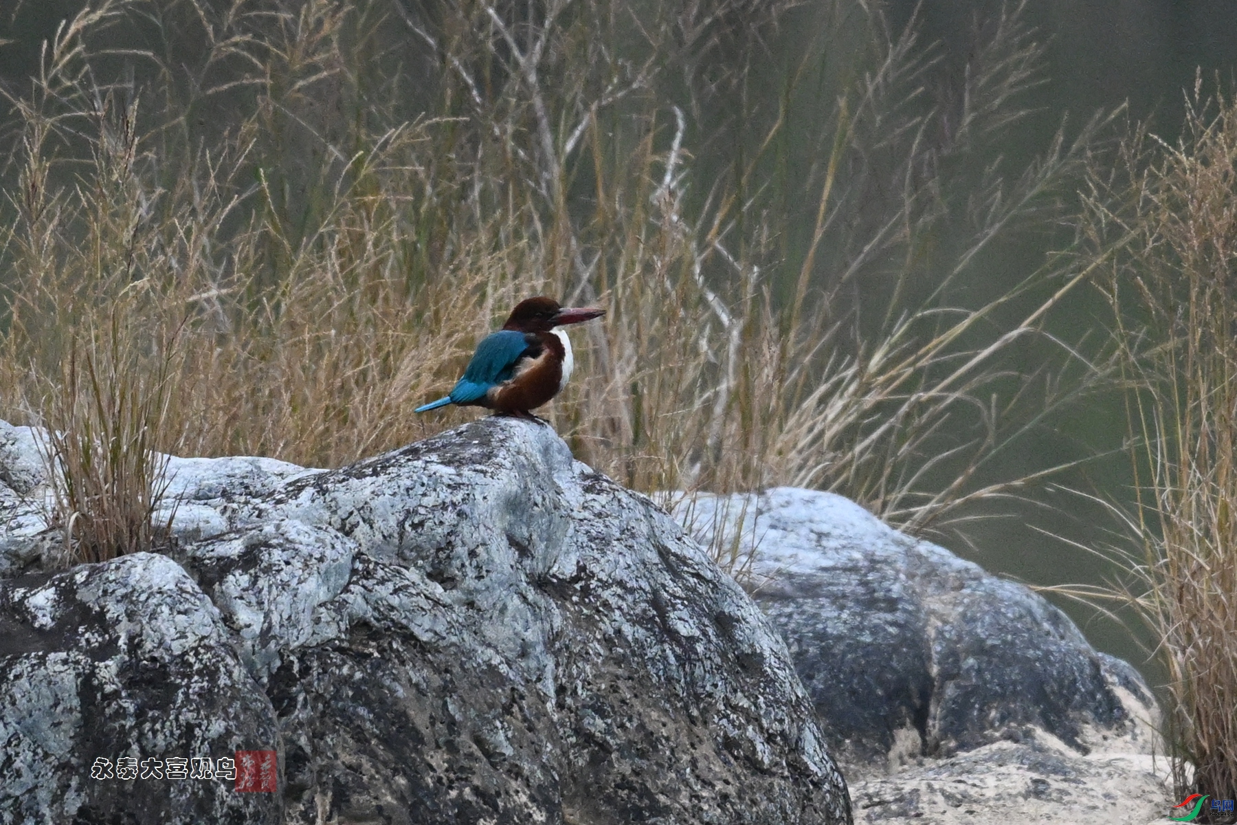DSC_6683.JPG