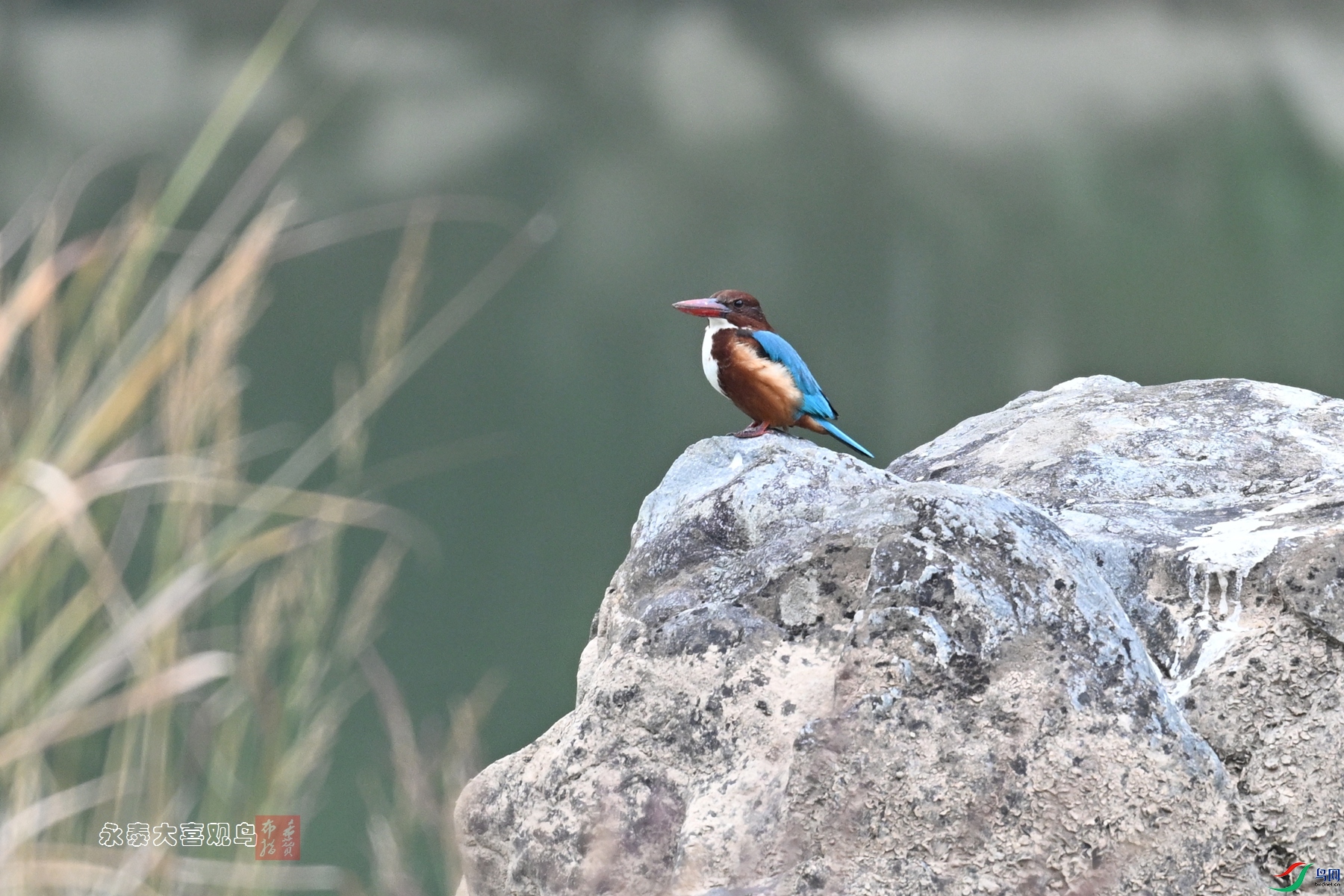 DSC_6796.JPG