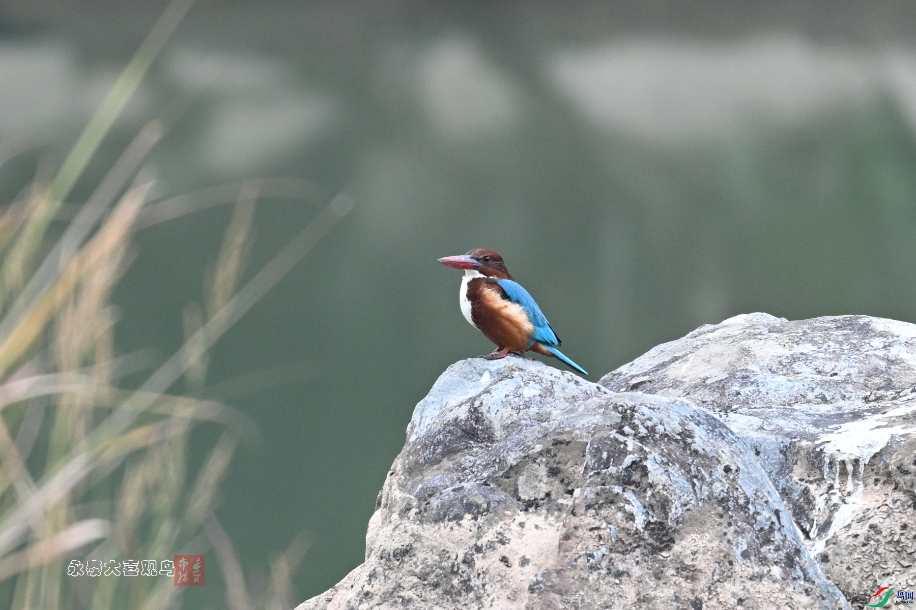 DSC_6797.JPG