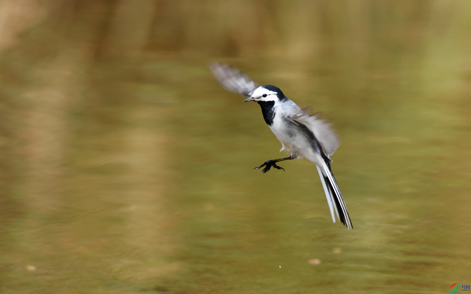 DSC_7418.jpg