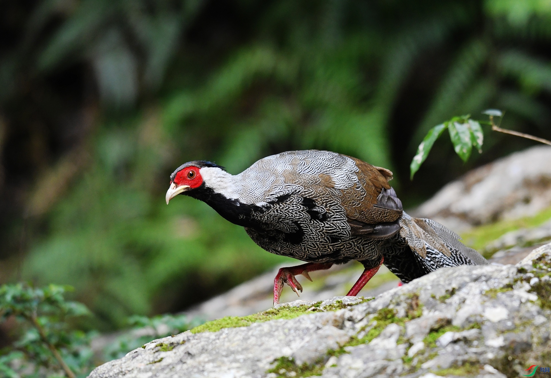 DSC_6463.jpg