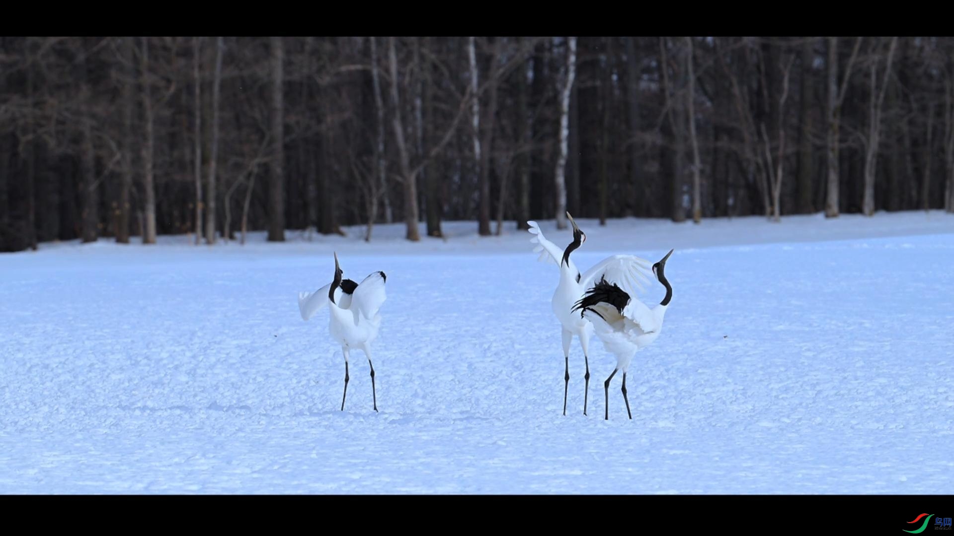 4��12�� (1)-����.jpg