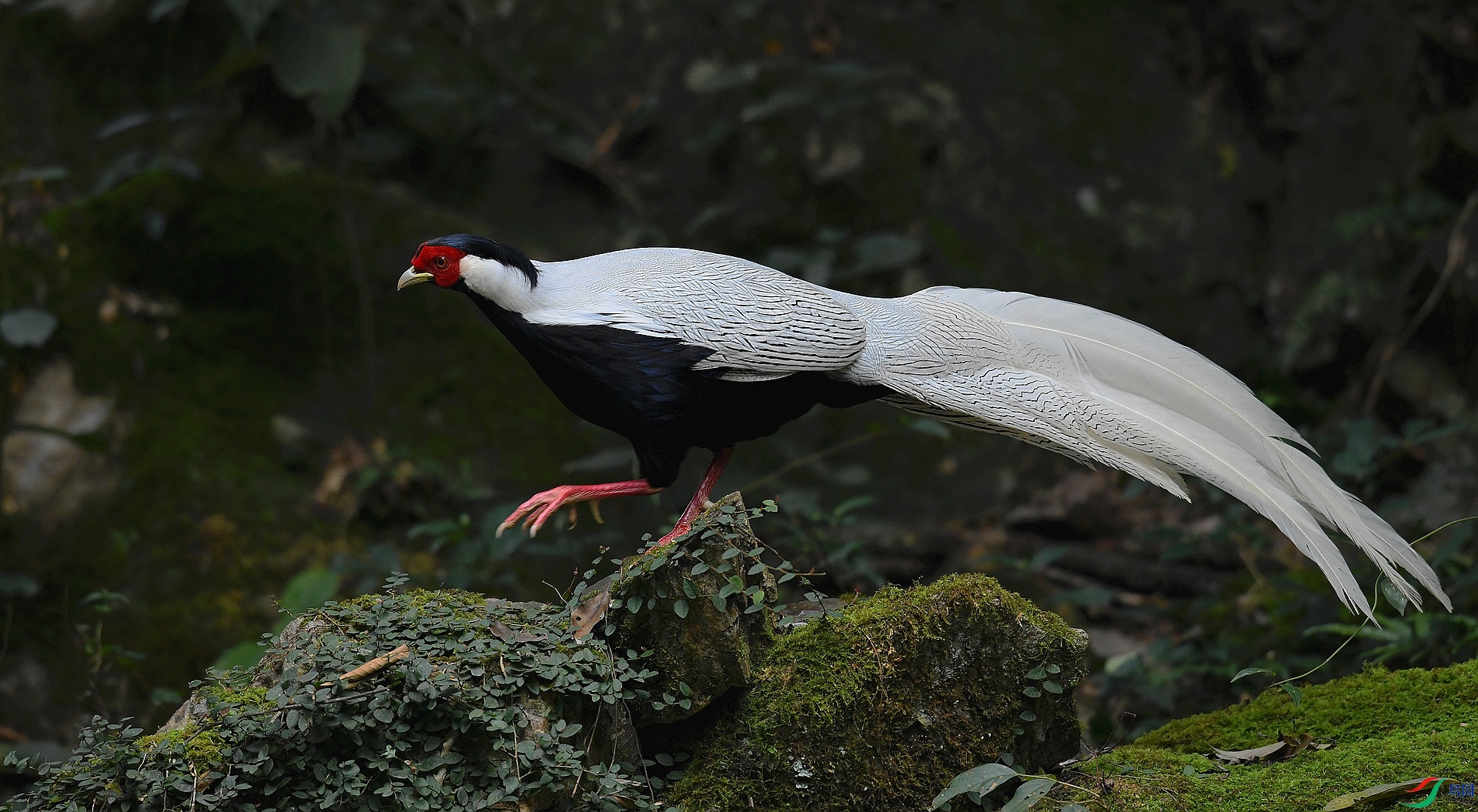 DSC_5930.jpg