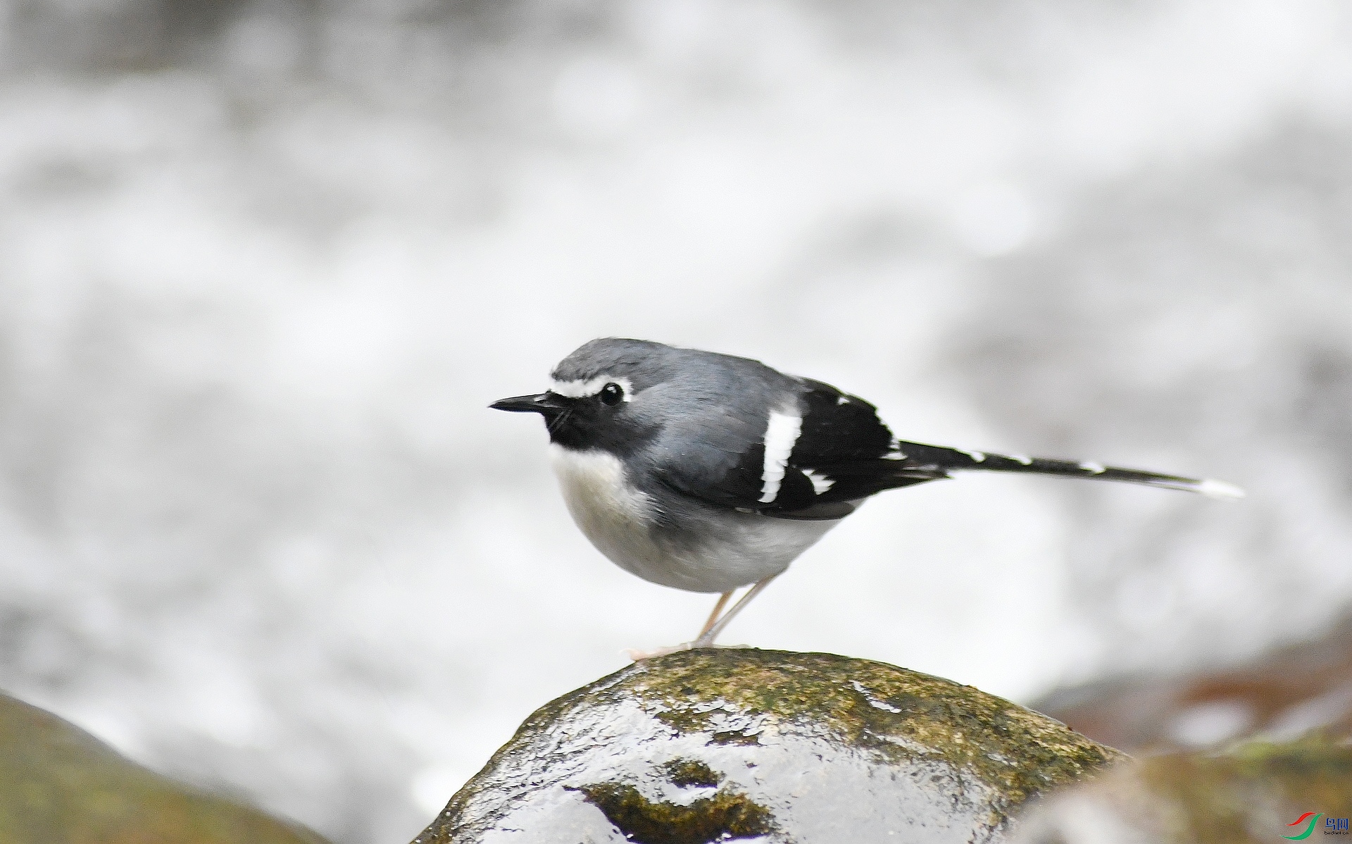 DSC_3702.jpg