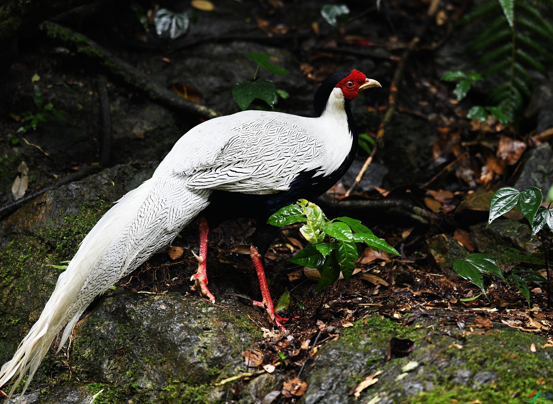 DSC_1932.jpg