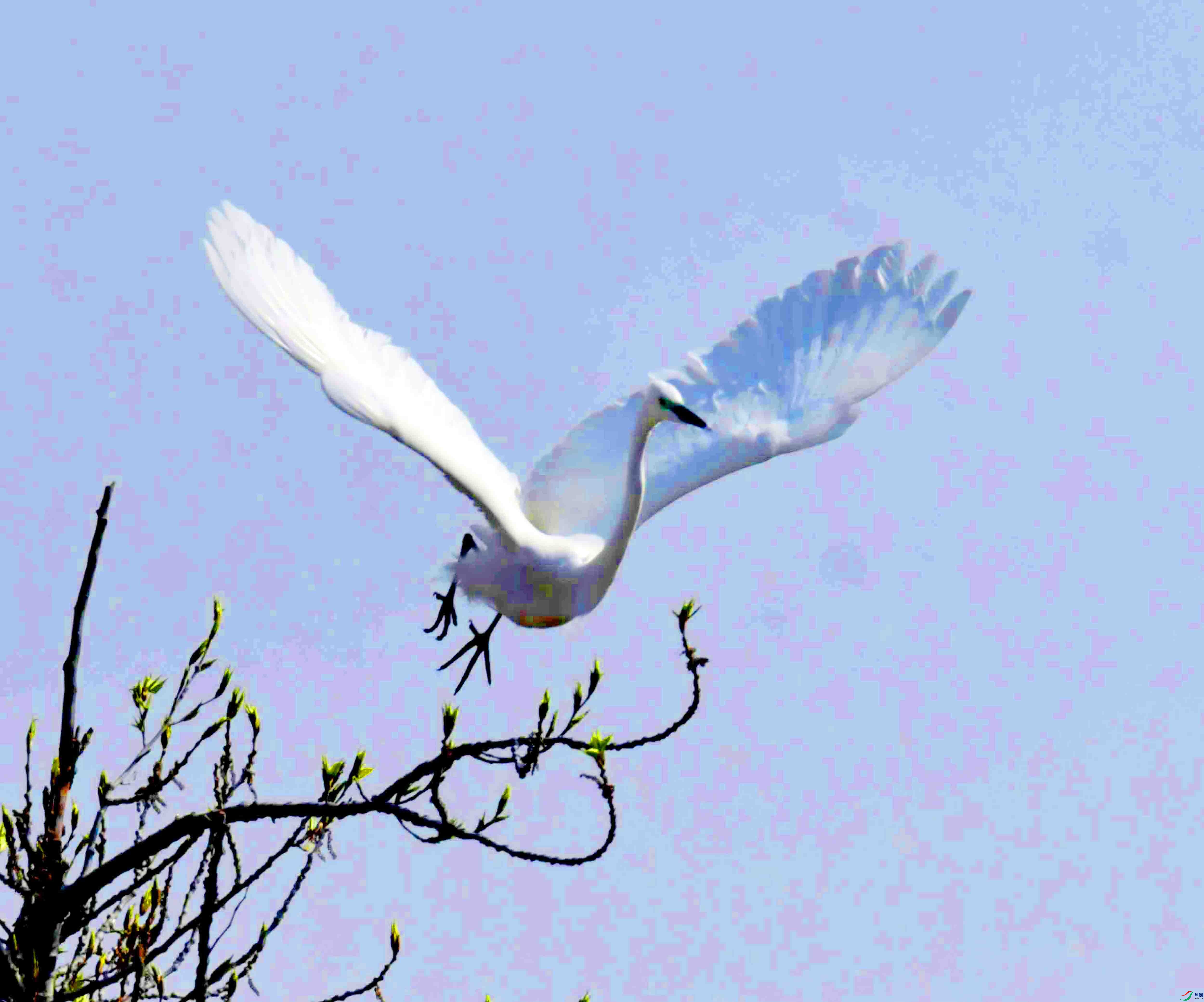 DSC_5831.JPG