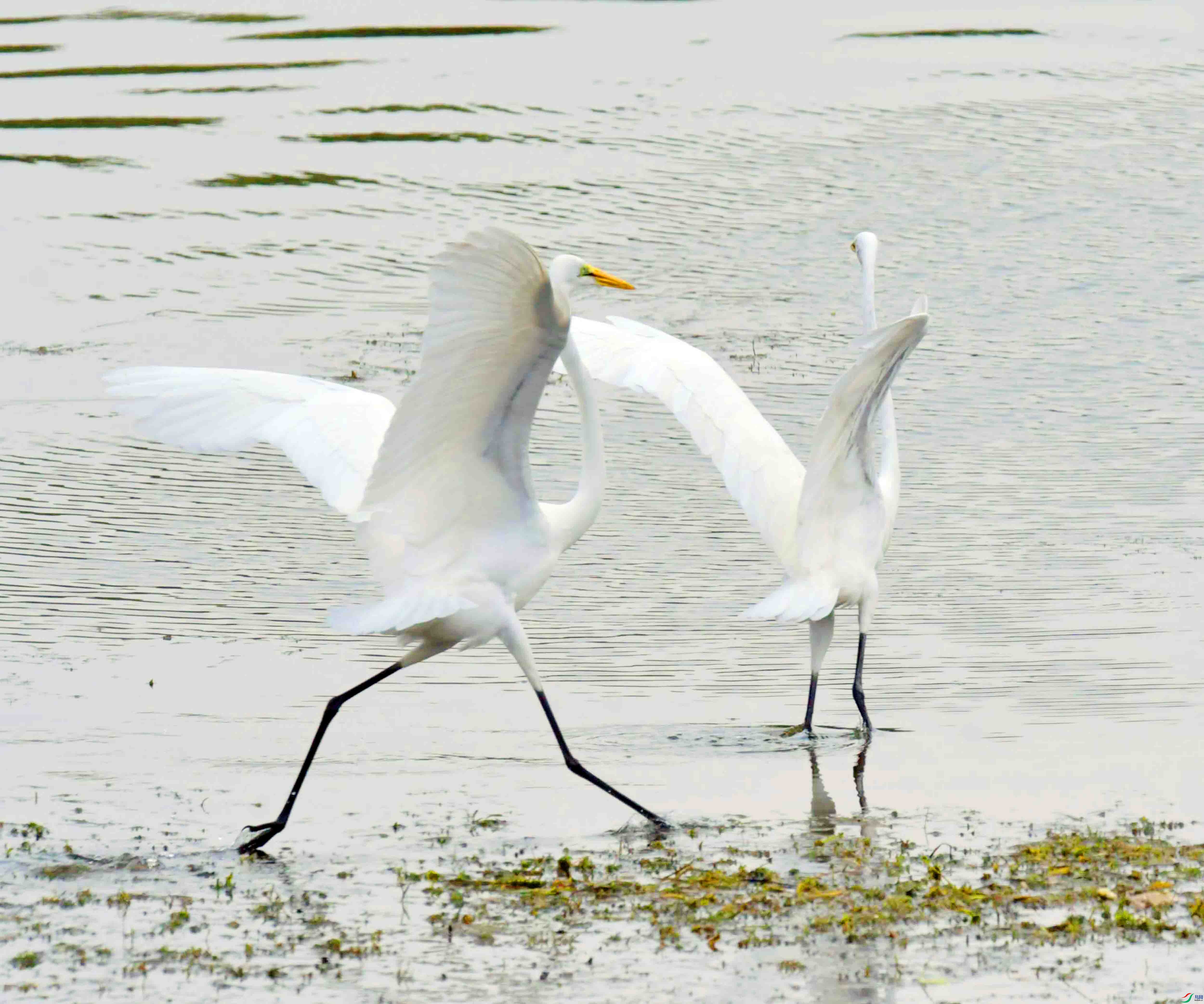 DSC_5870.JPG