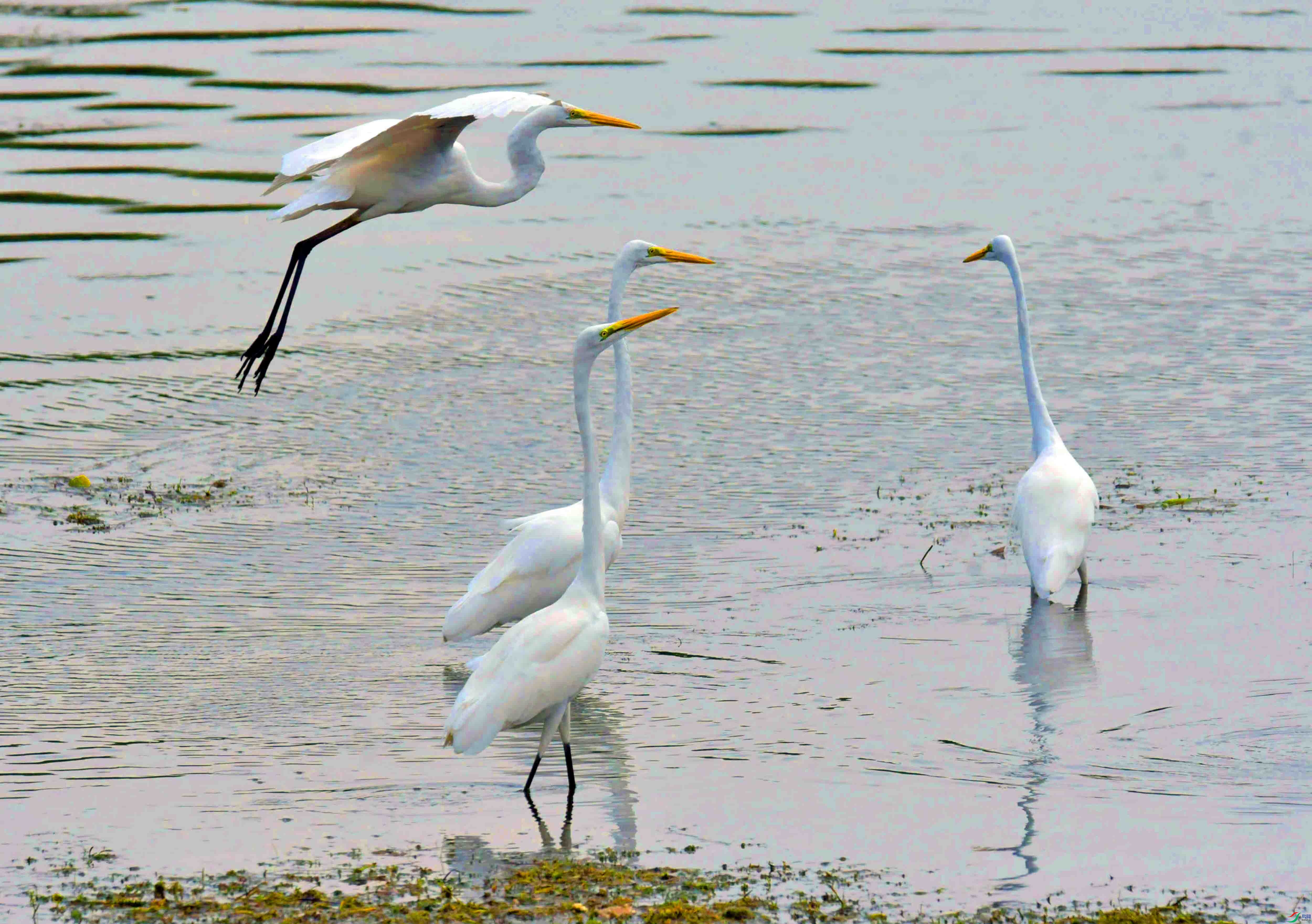 DSC_5873.JPG