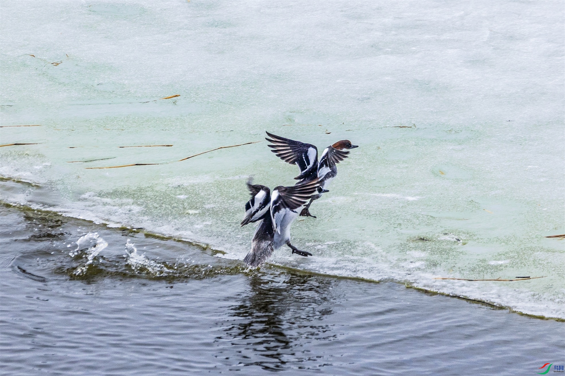 1K3A5787 ����1.jpg