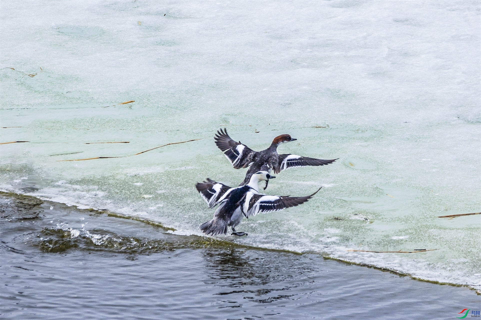 1K3A5788 ����1.jpg