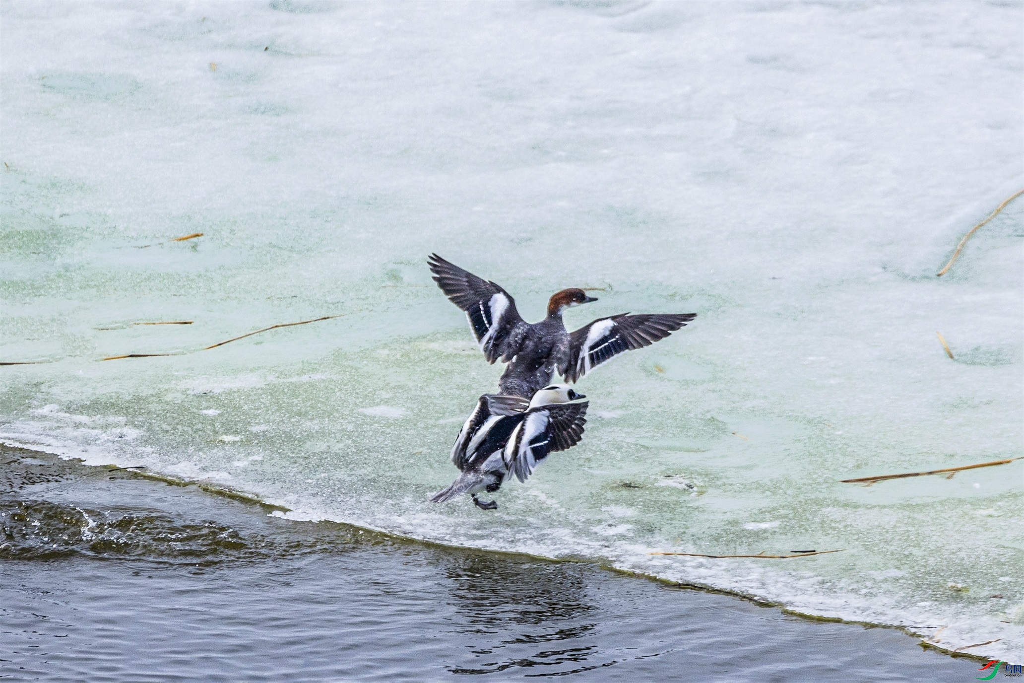 1K3A5790 ����1.jpg