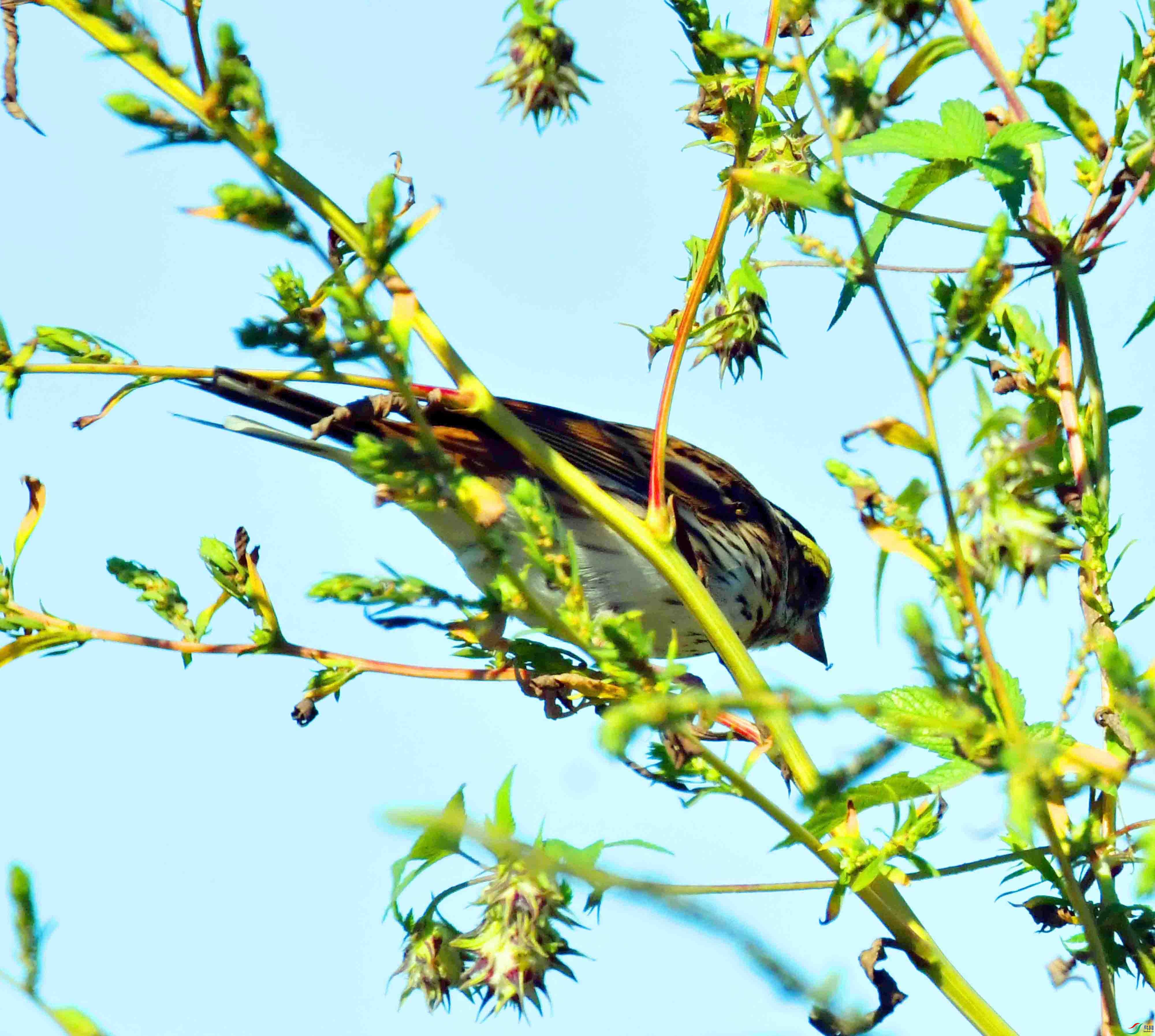 DSC_0886.JPG