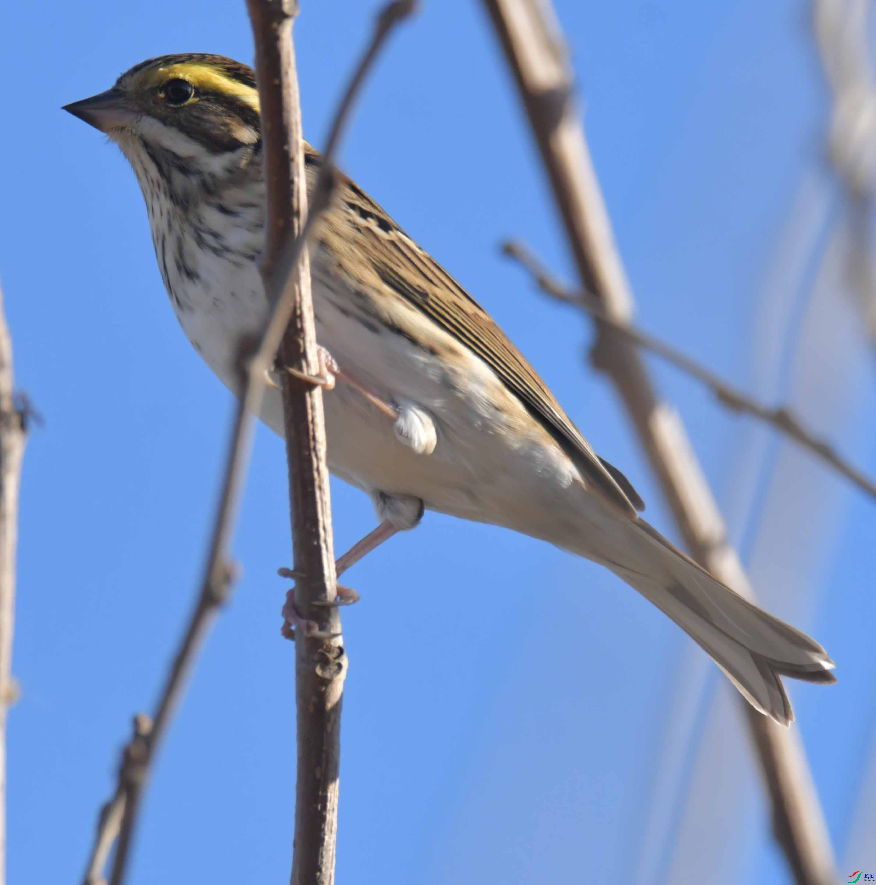 DSC_2086.JPG