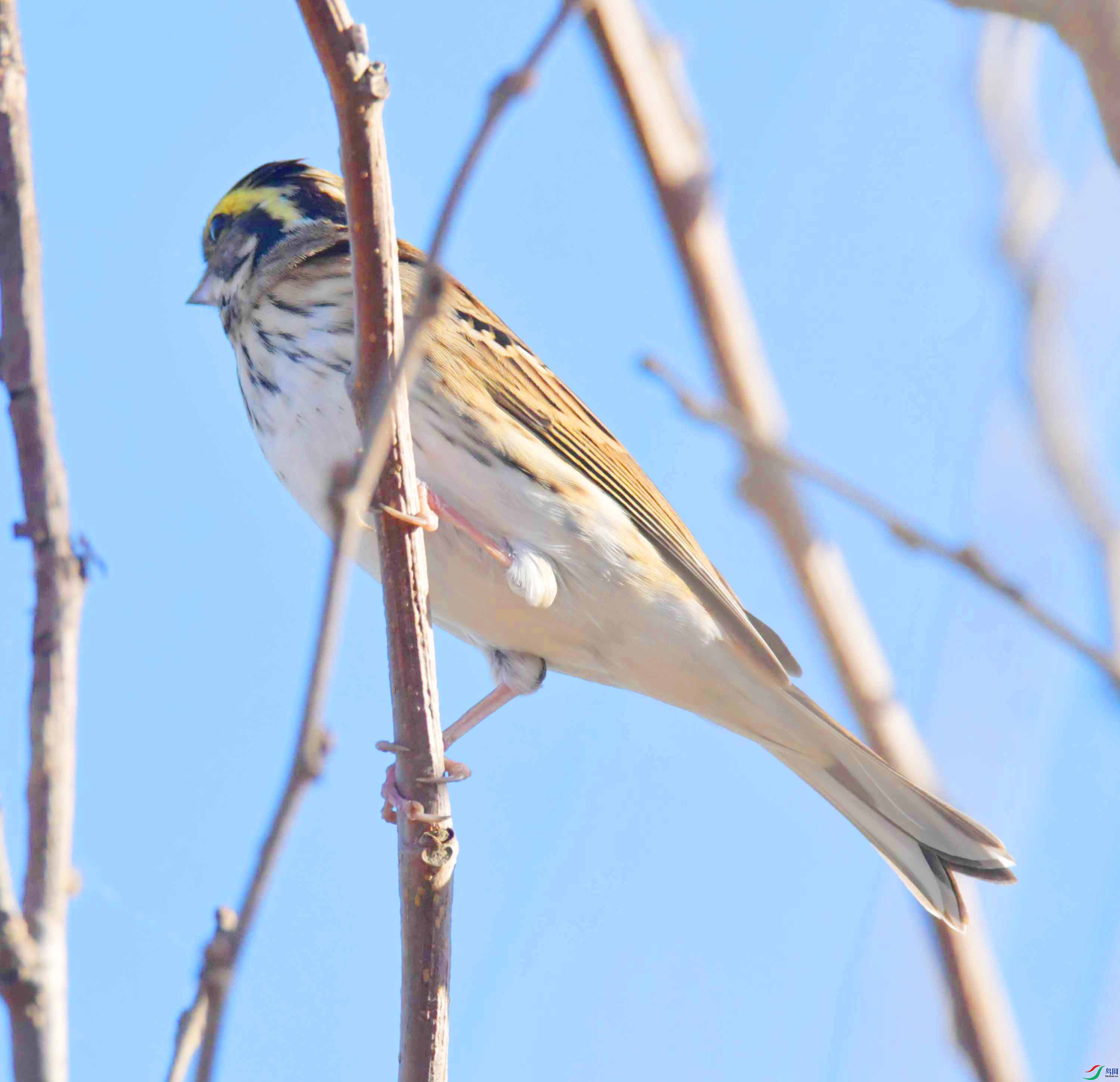 DSC_2087.JPG