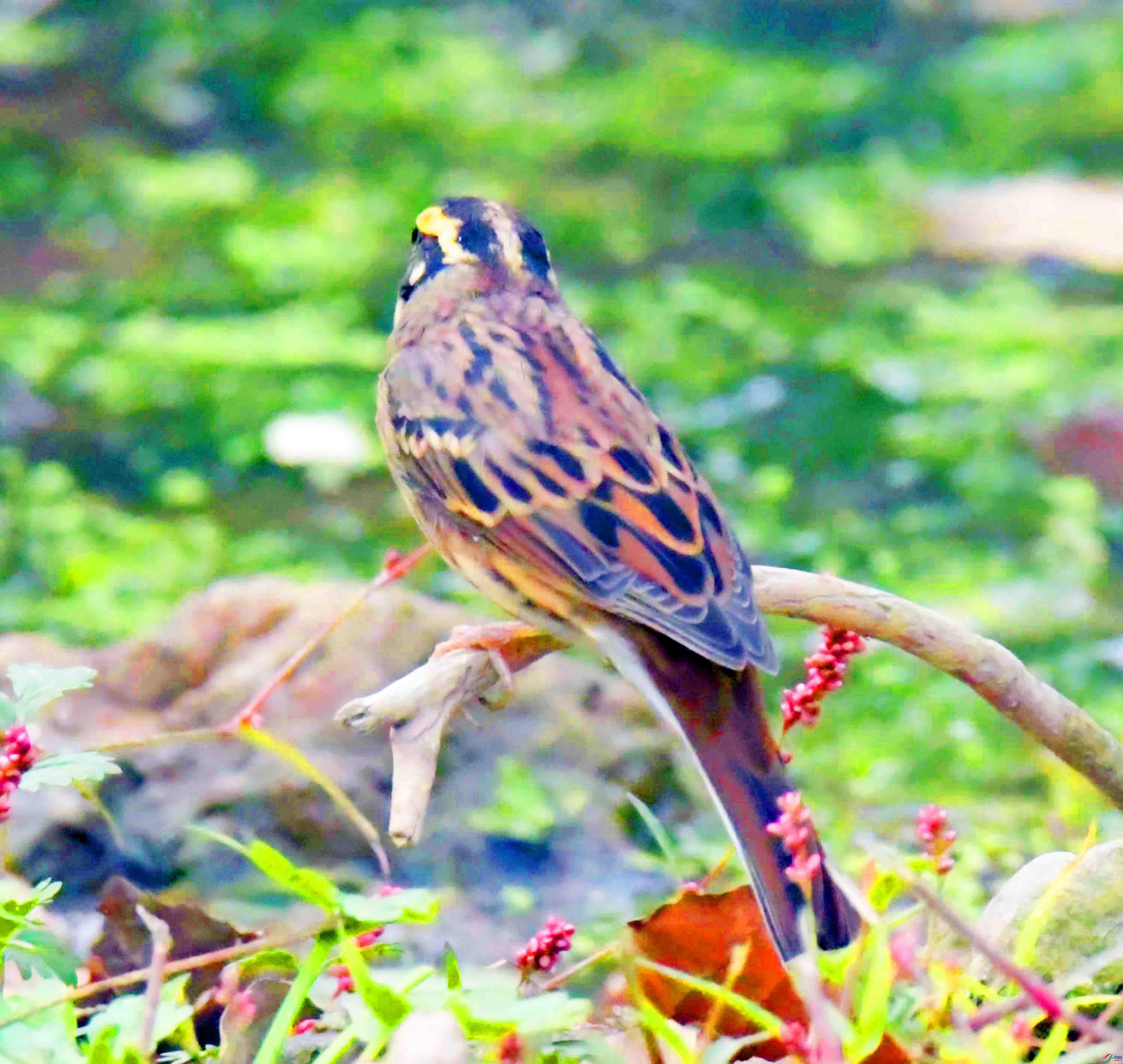 DSC_8282.JPG
