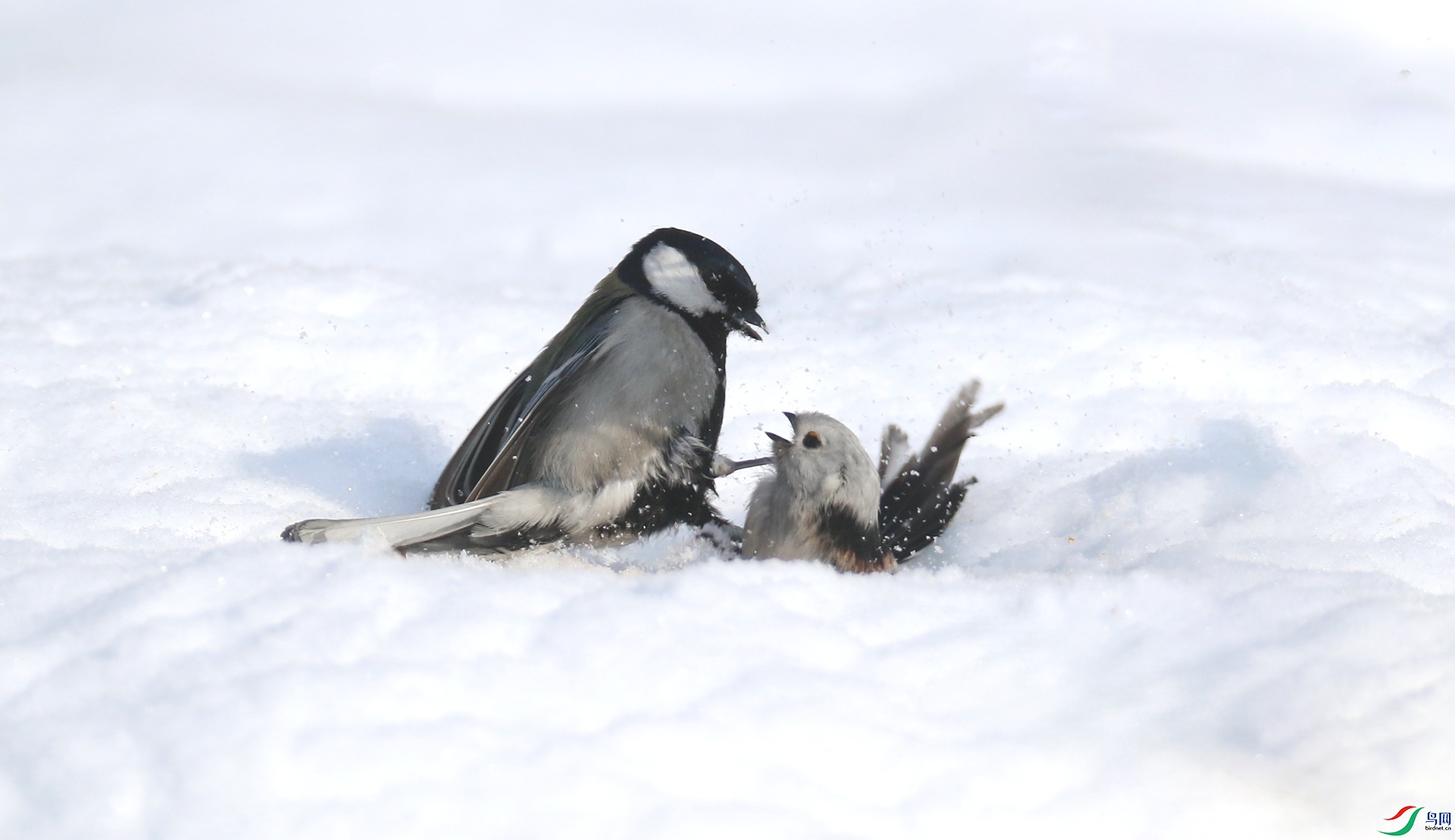 0G1A1598 ����.jpg