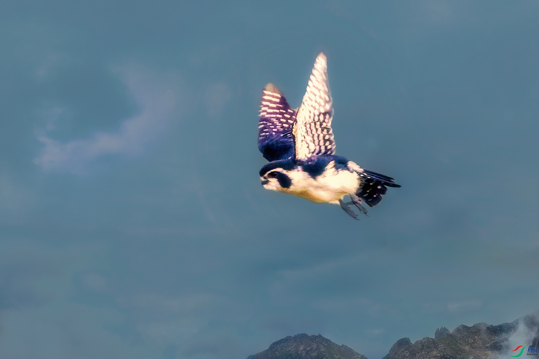 ����С��----С����������־