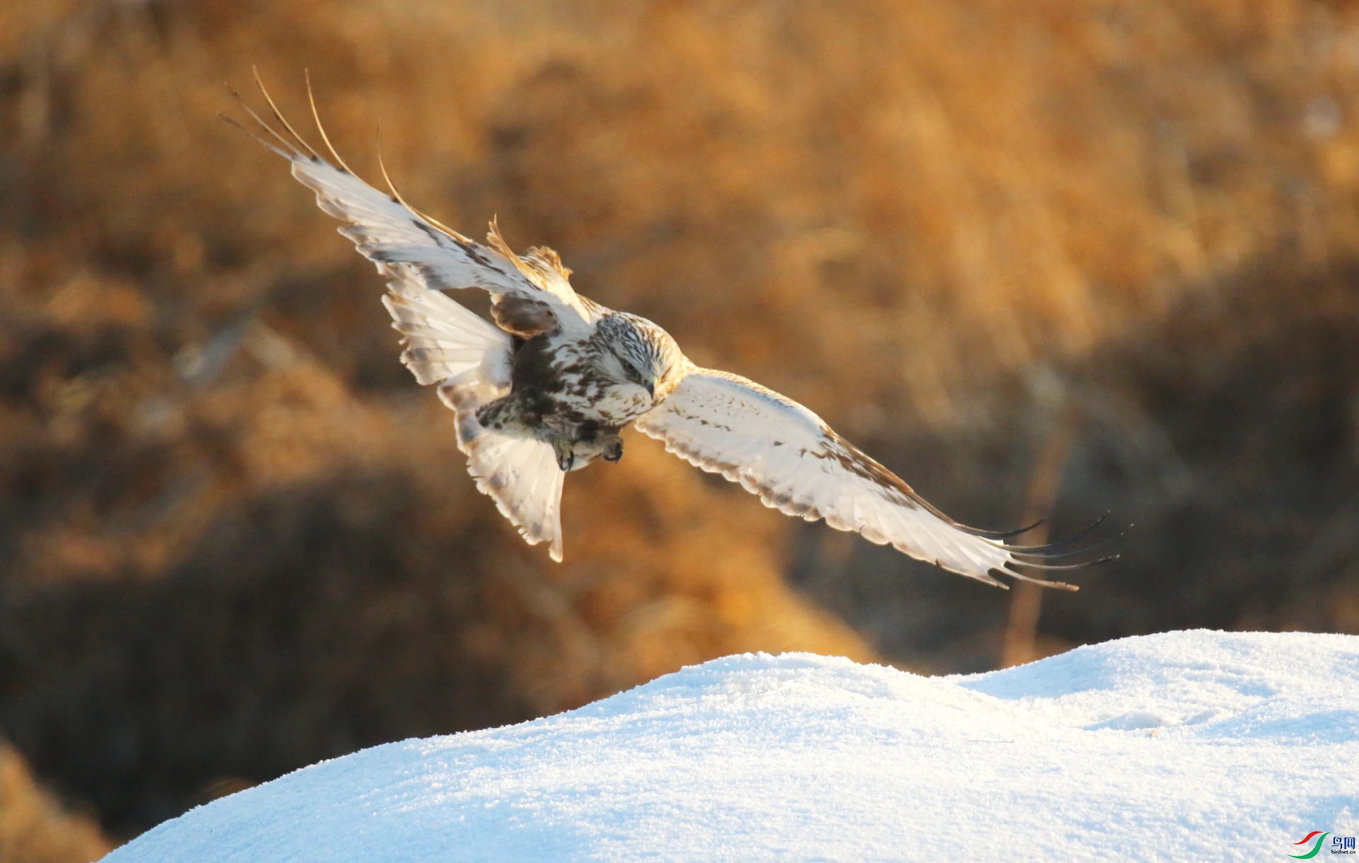 0G1A4665 ����.jpg