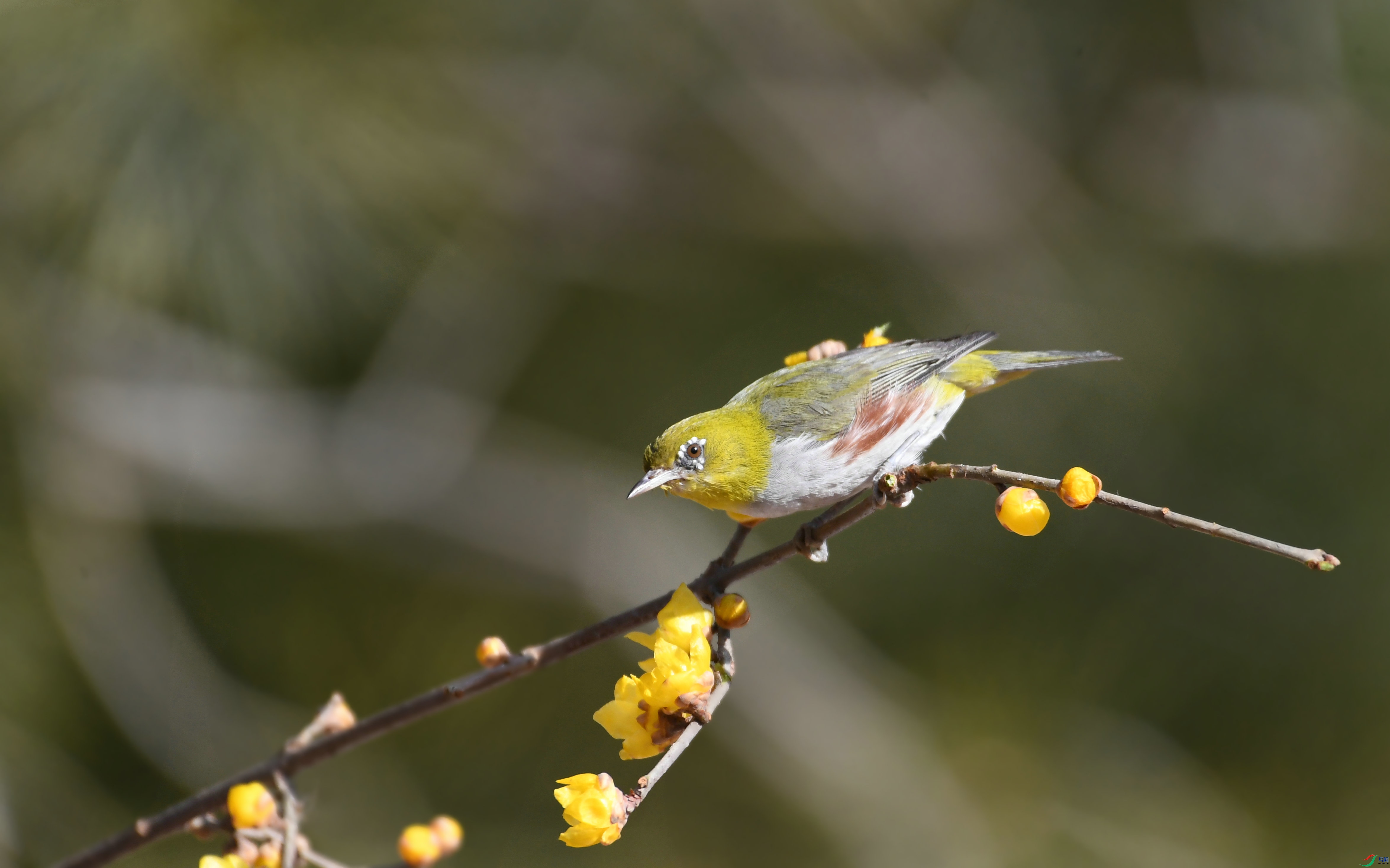 DSC_0409.JPG