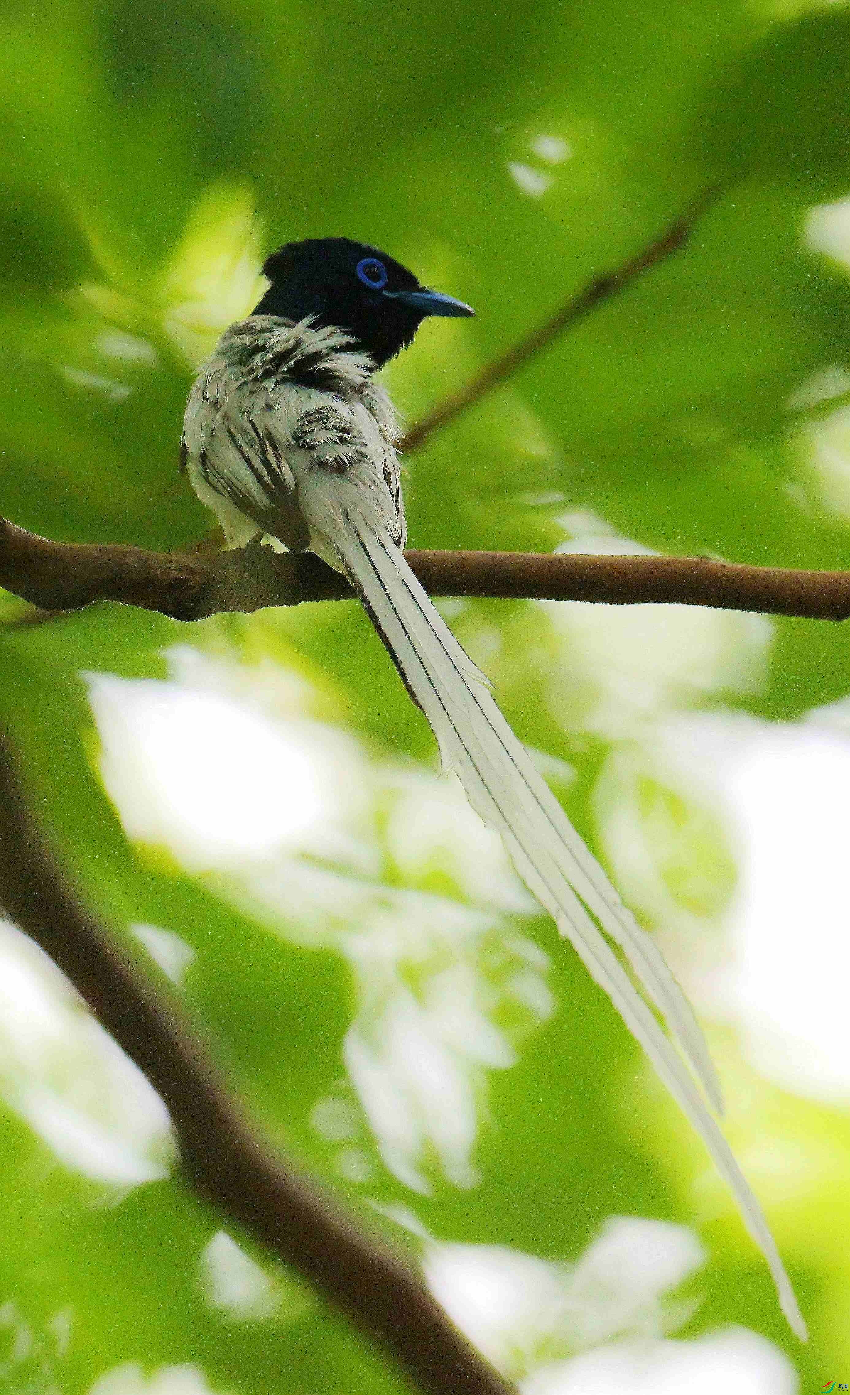 DSC_0921.jpg