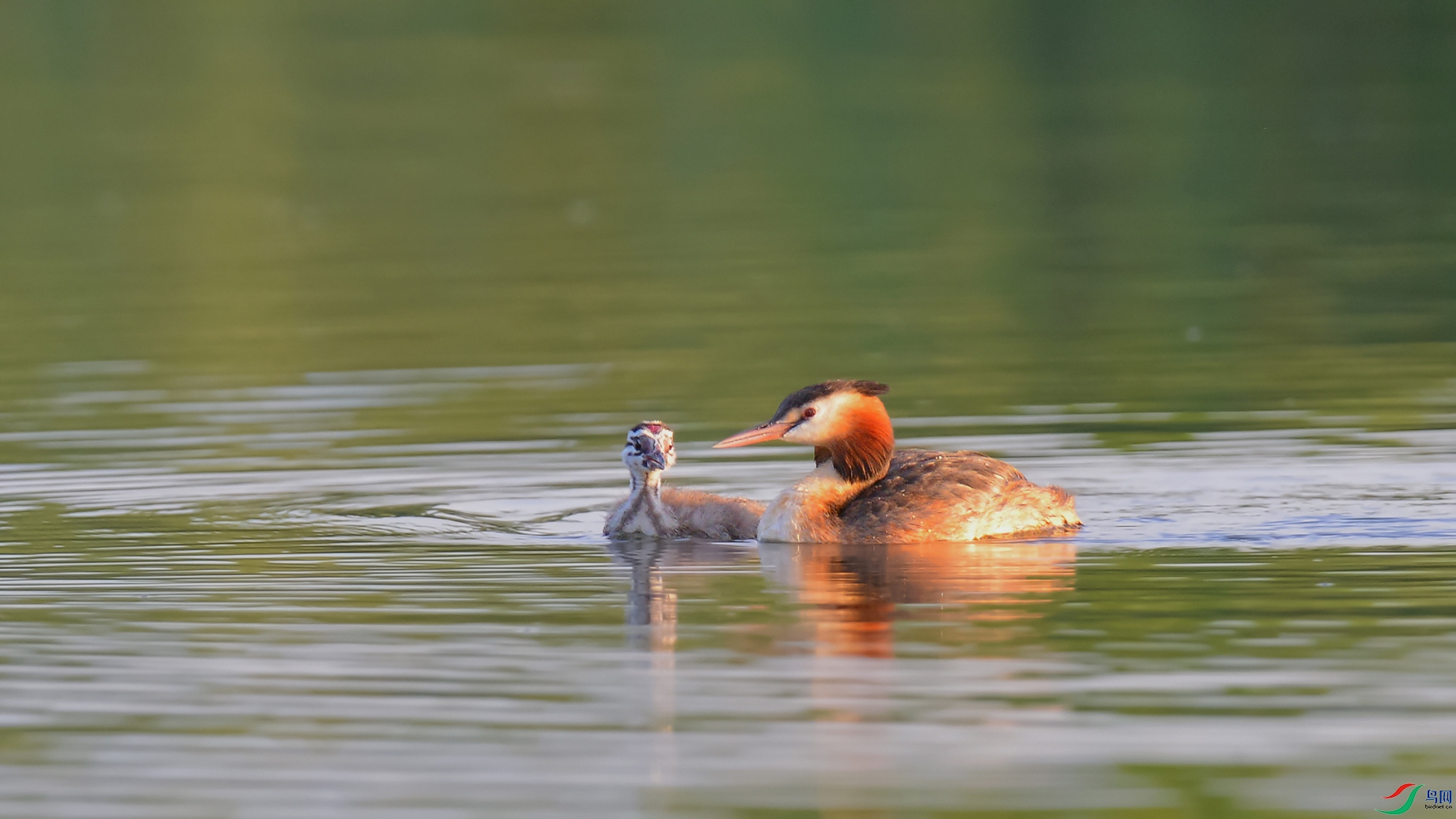 2DSC_5195_DxOa.jpg