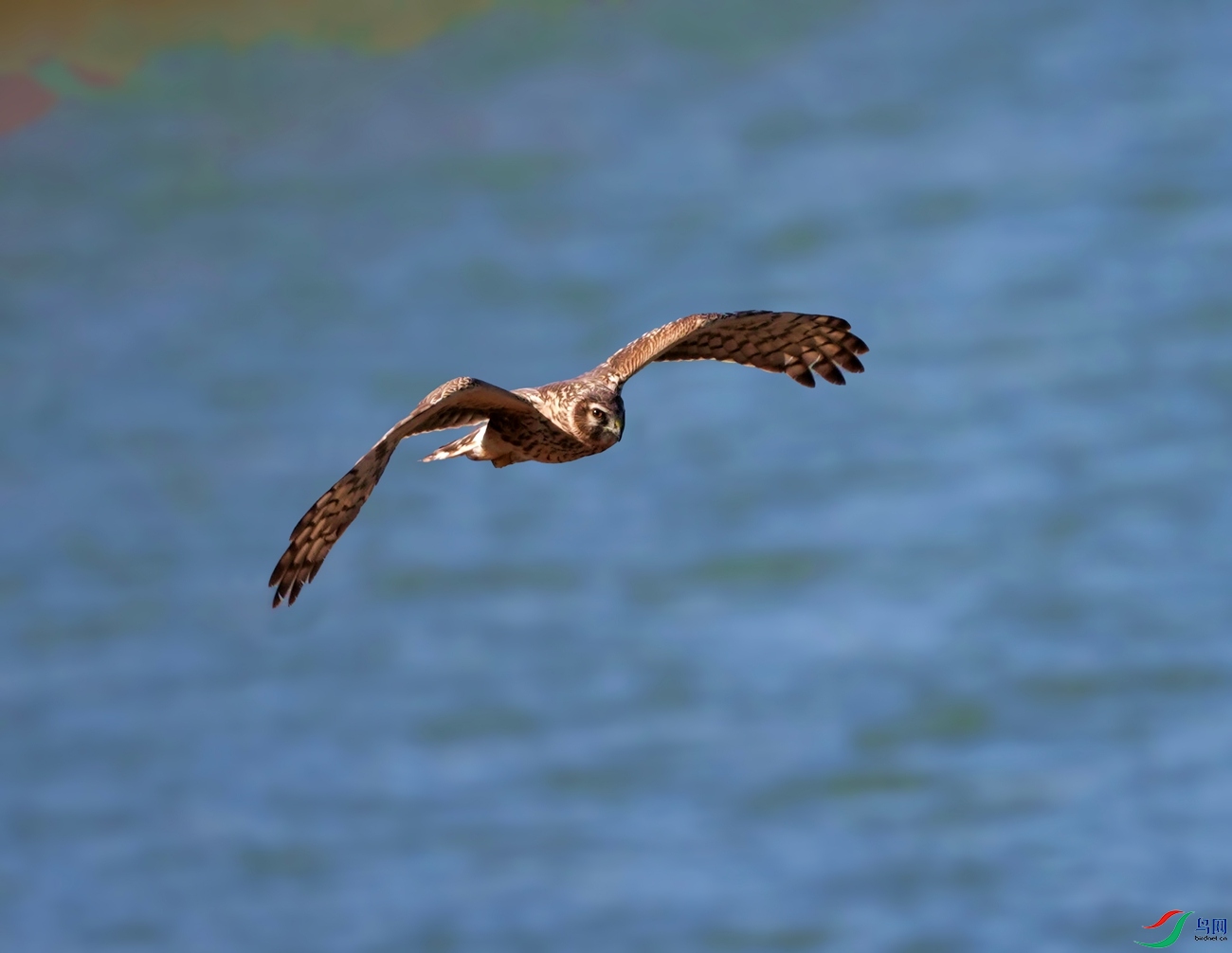 DSC00857_���� ����_����.jpg