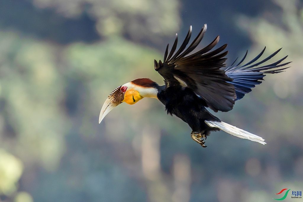 0F7A1354 ����.jpg