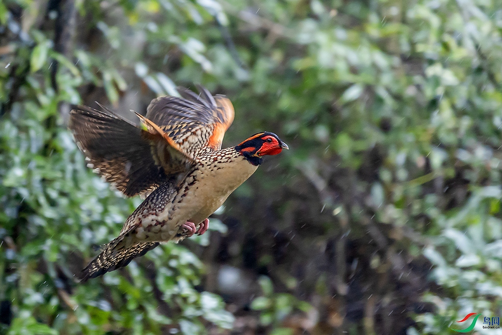 0F7A8828 ����.jpg