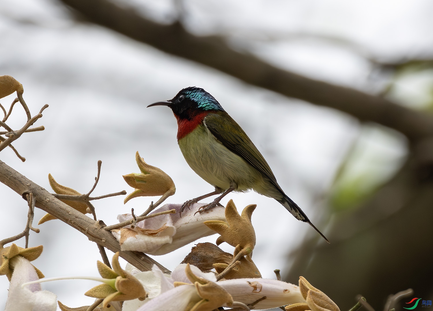 2I1A0781-����ǿ-NR ����.jpg