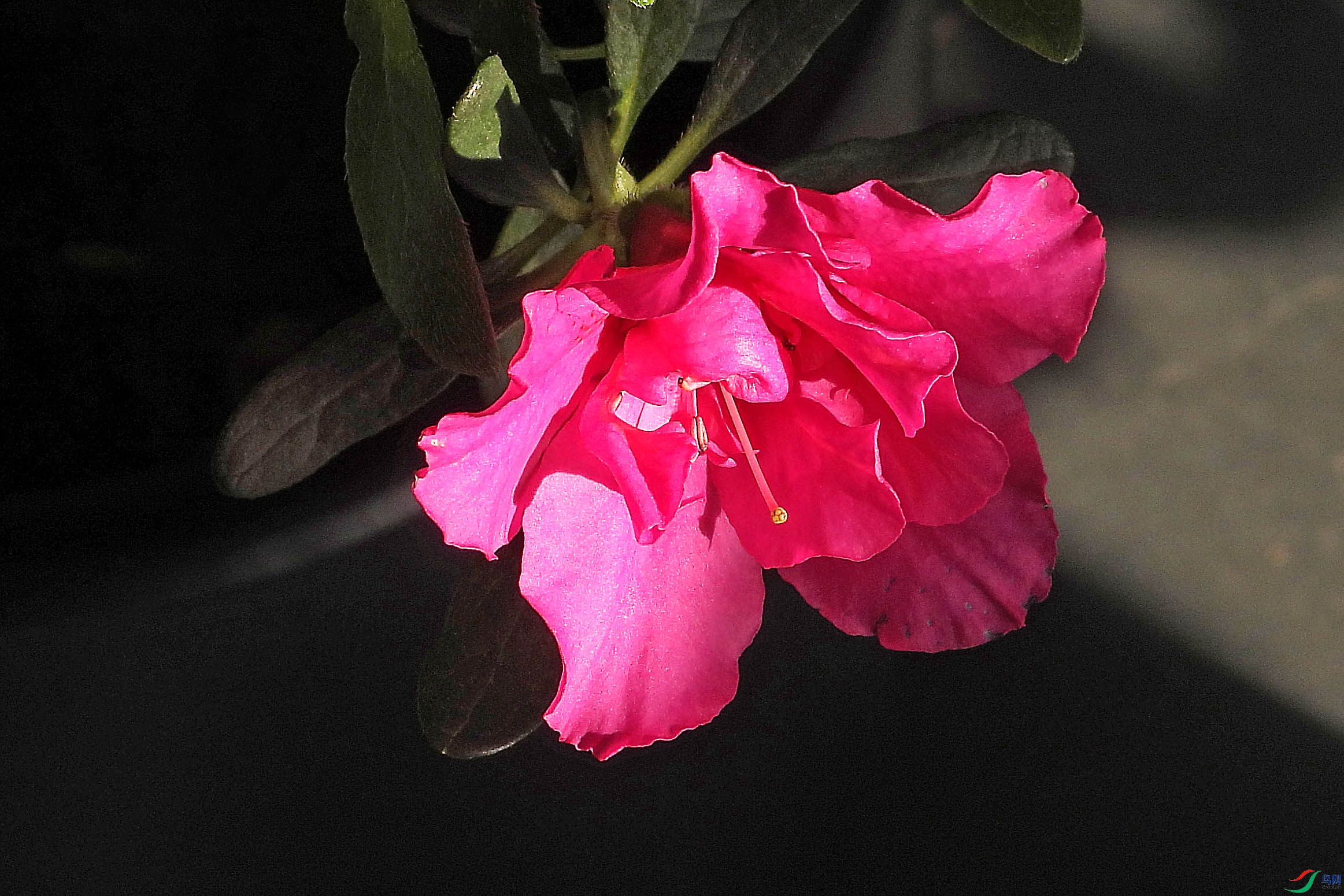 DSCN5589.JPG