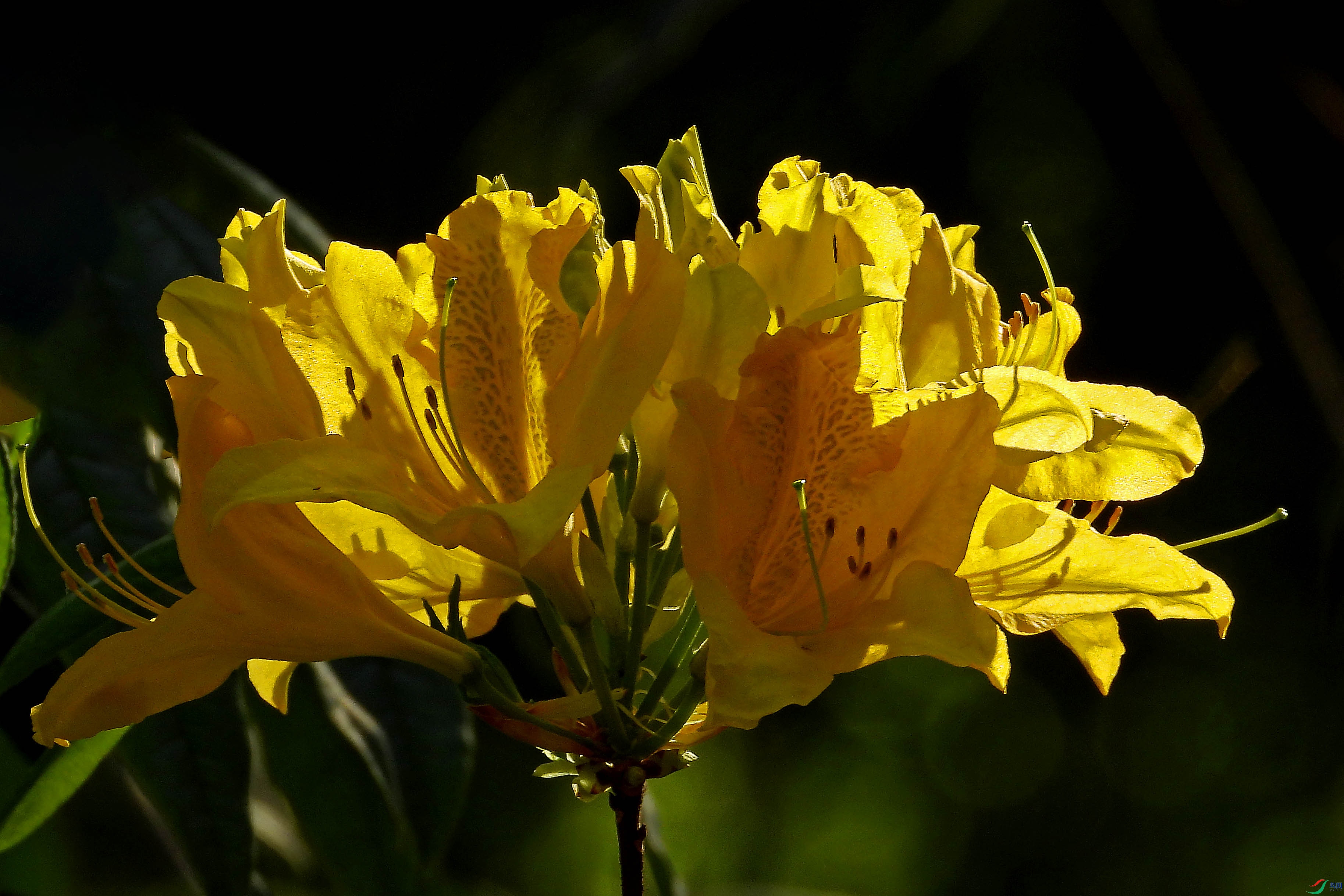 DSCN5612.JPG