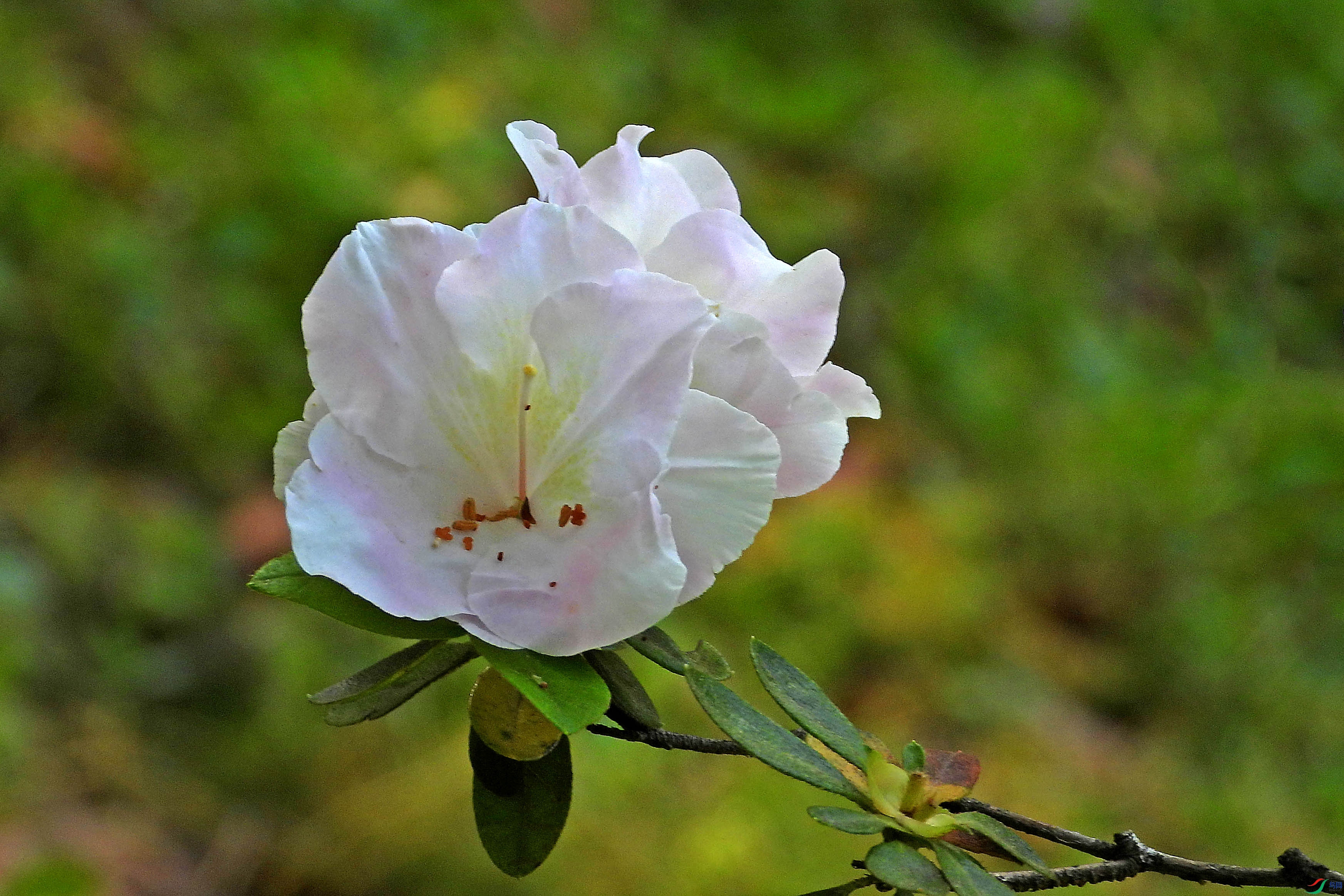 DSCN5632.JPG