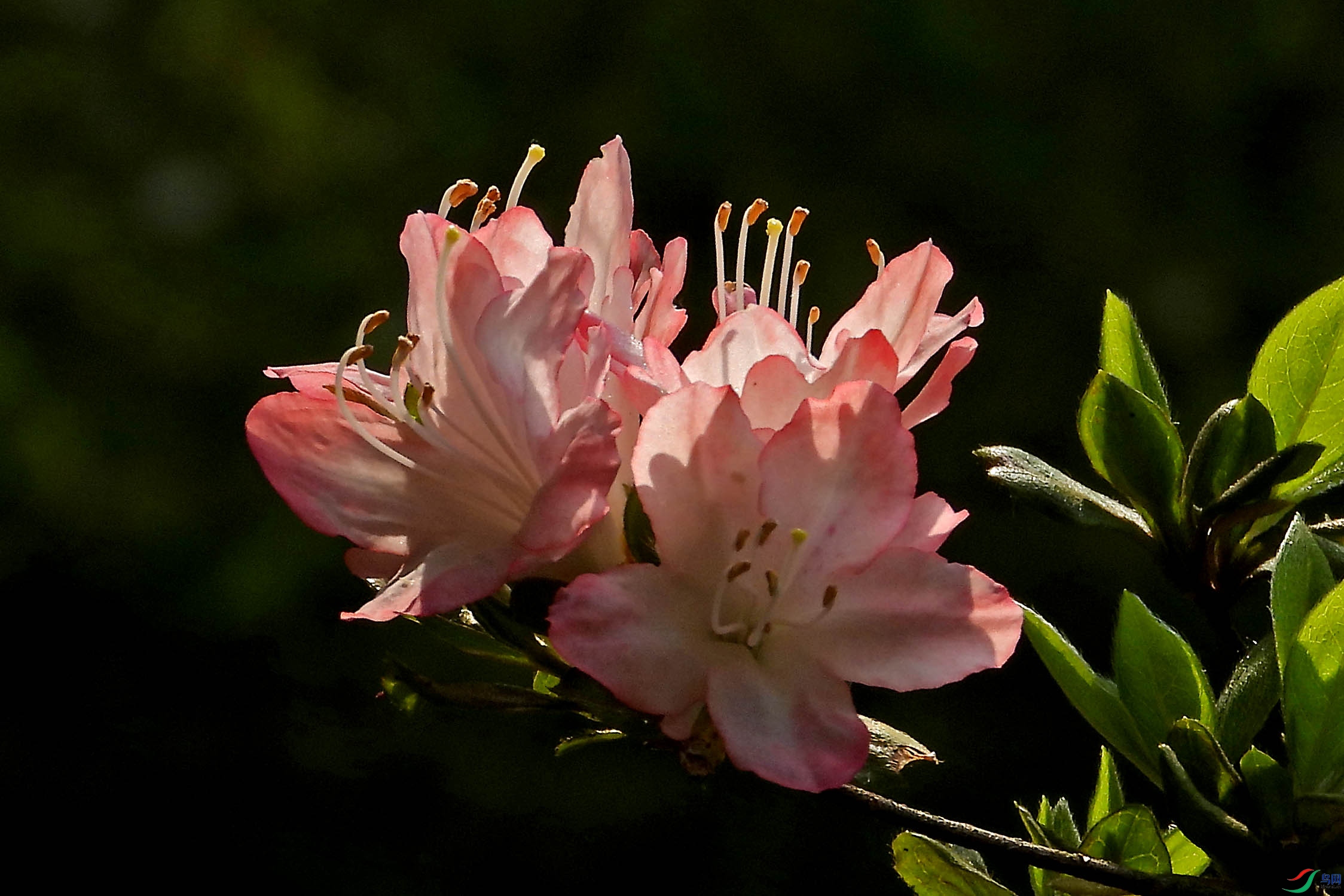 DSCN5630.JPG