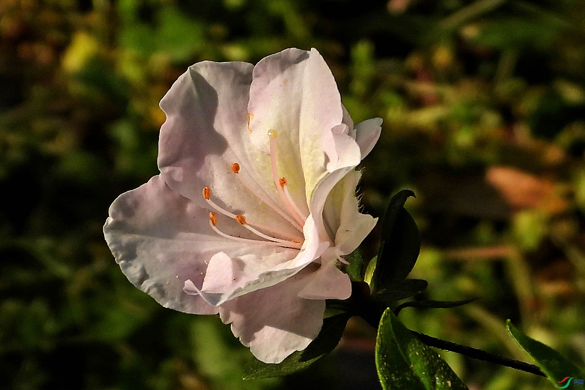 DSCN5635.JPG
