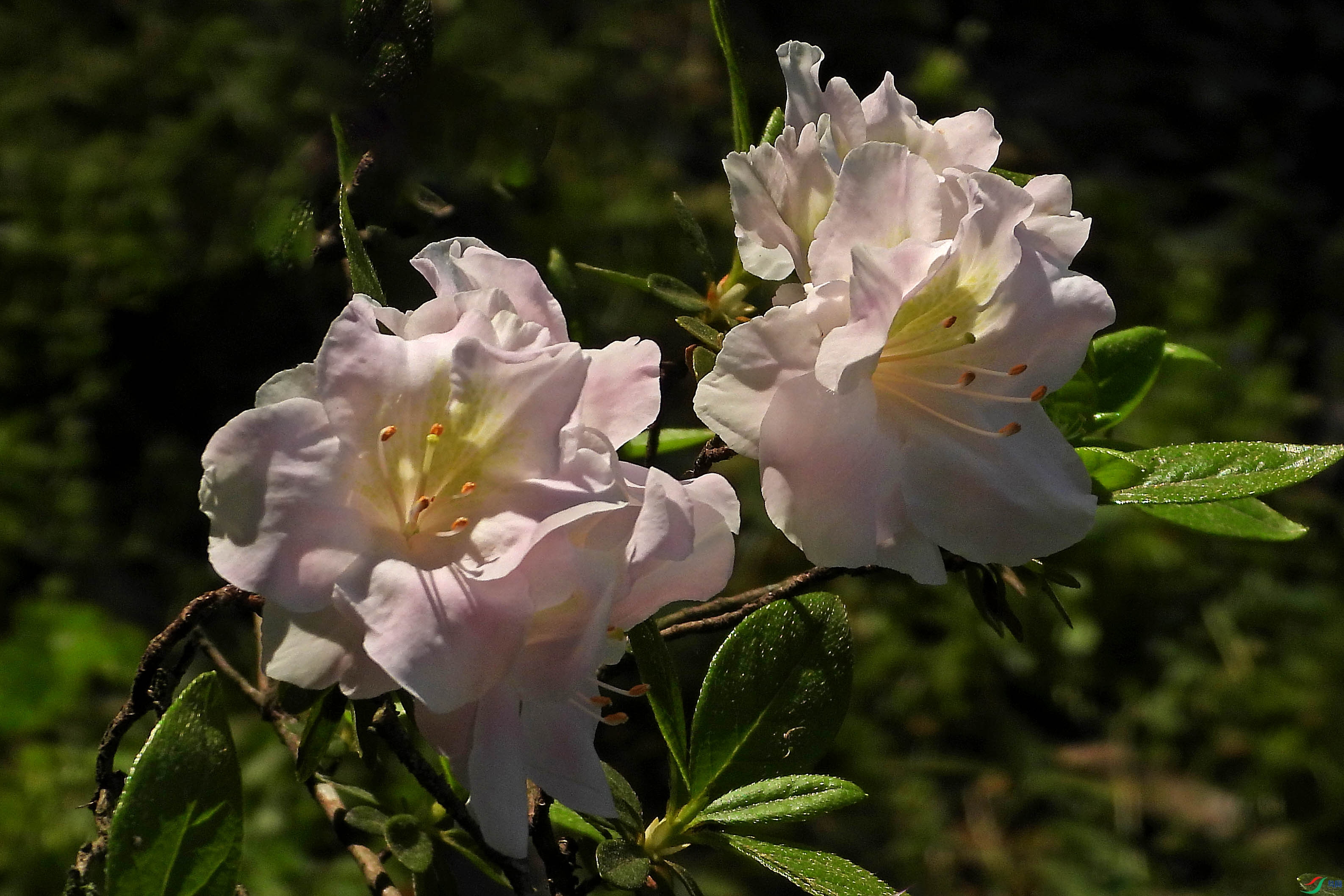 DSCN5633.JPG