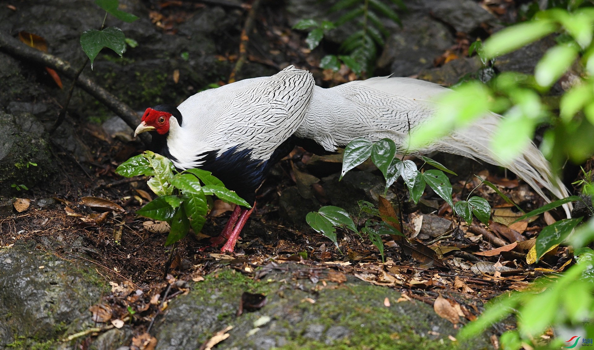 DSC_1937.jpg
