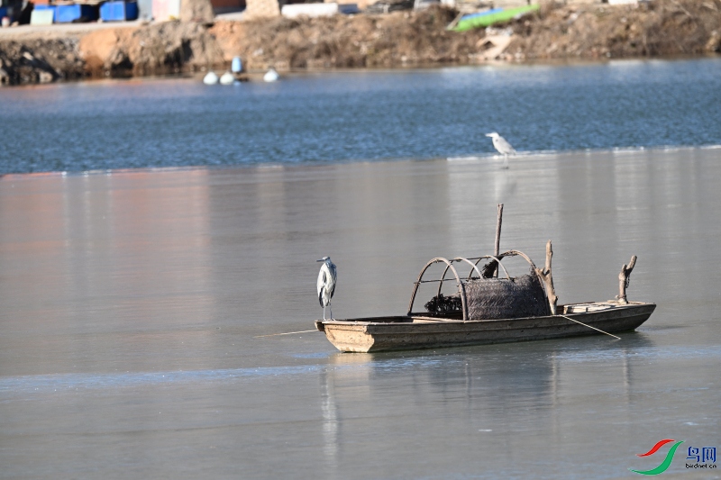 DSC_7676.JPG