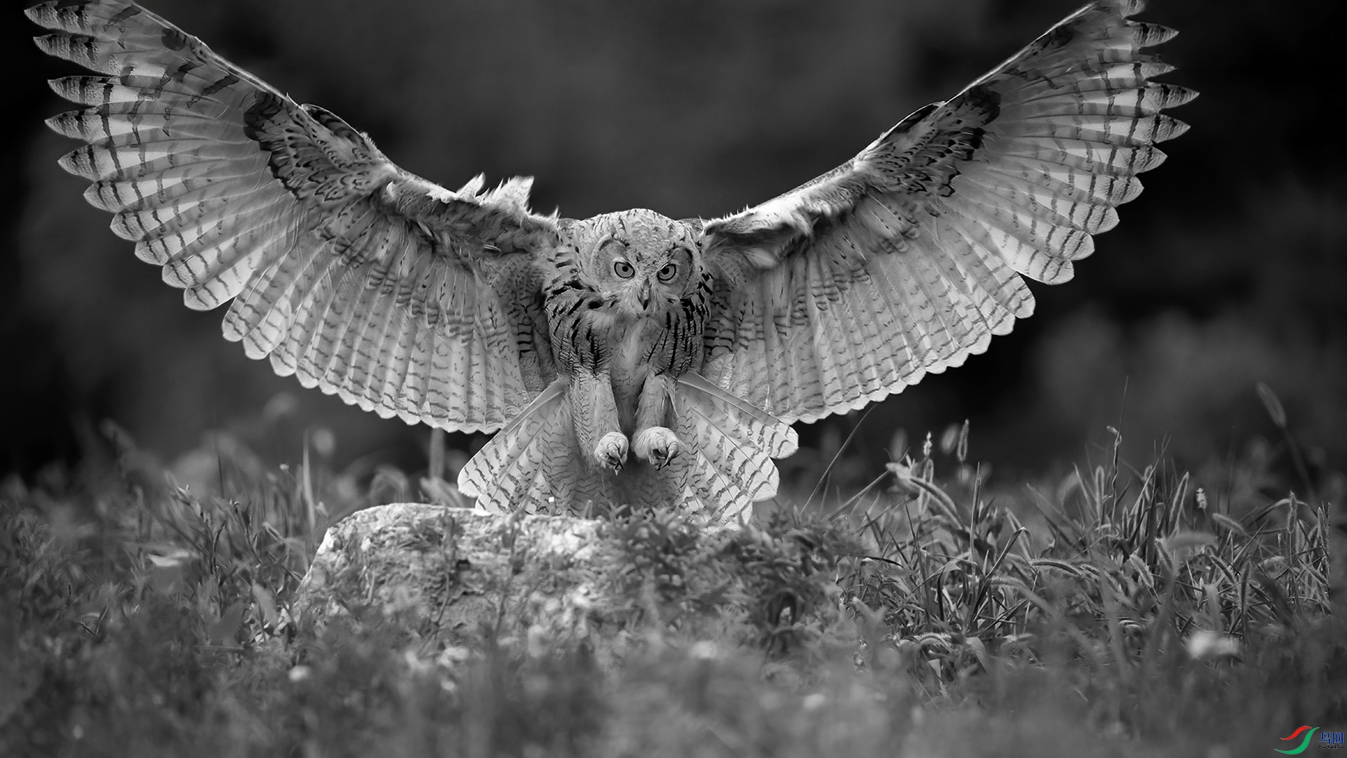 DSC_4268-1-20230708�� .jpg