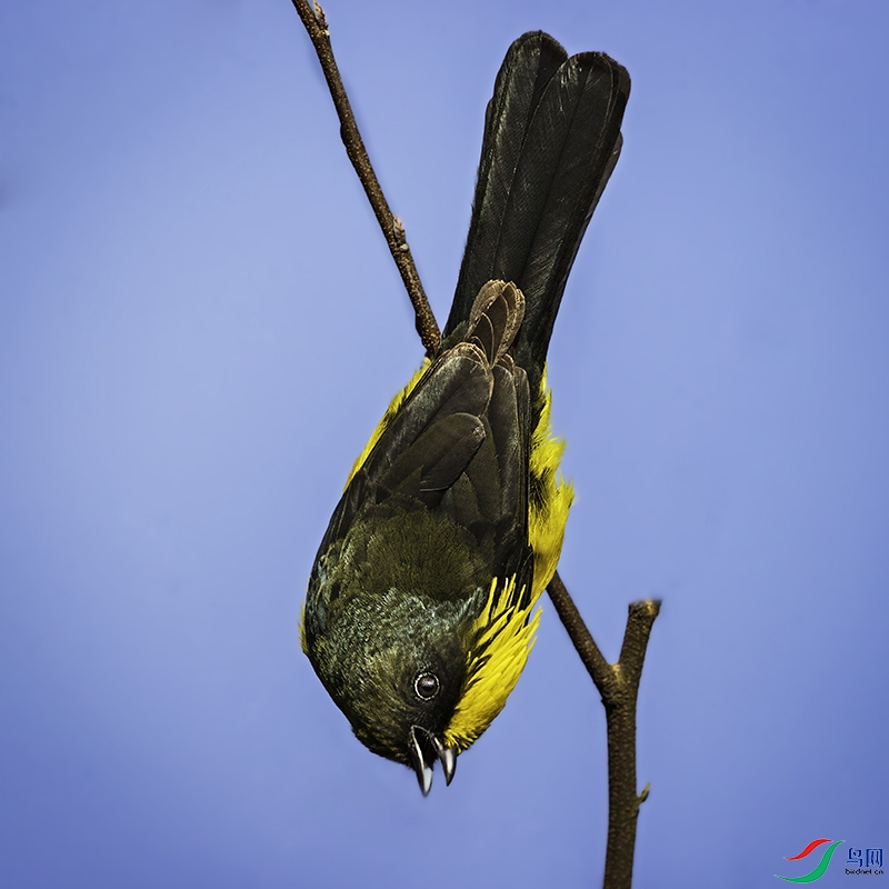 _L4I4201-����ǿ-NR��ȸ-���ҽ��� ����.jpg