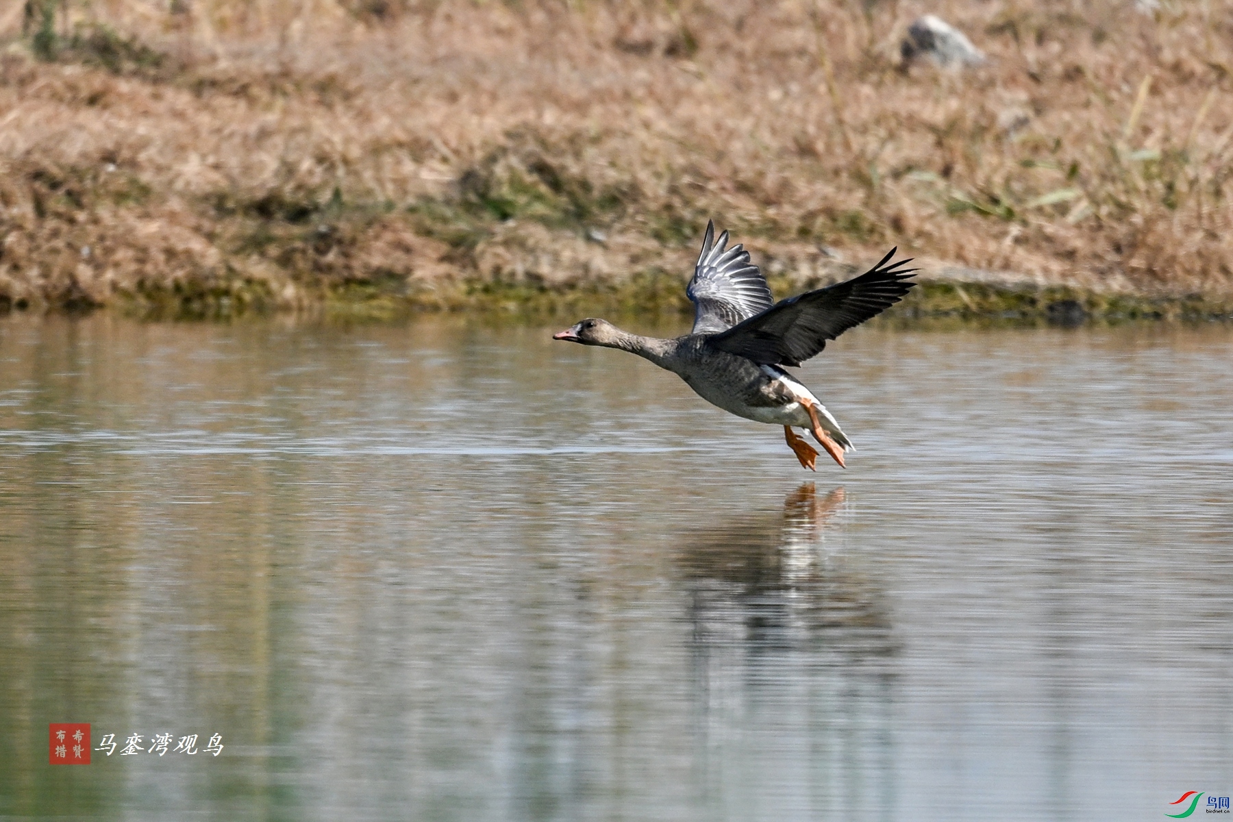 DSC_8015.JPG