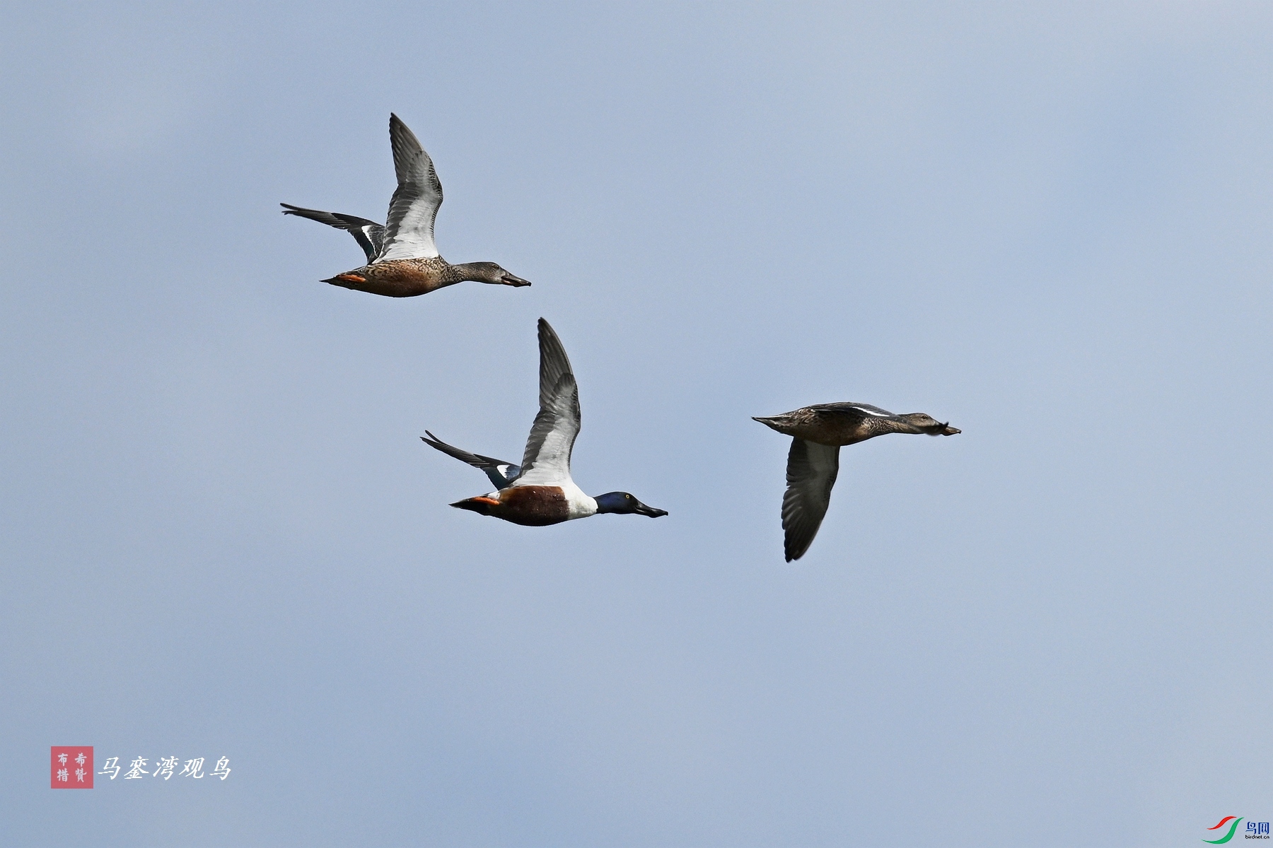 DSC_8072.JPG