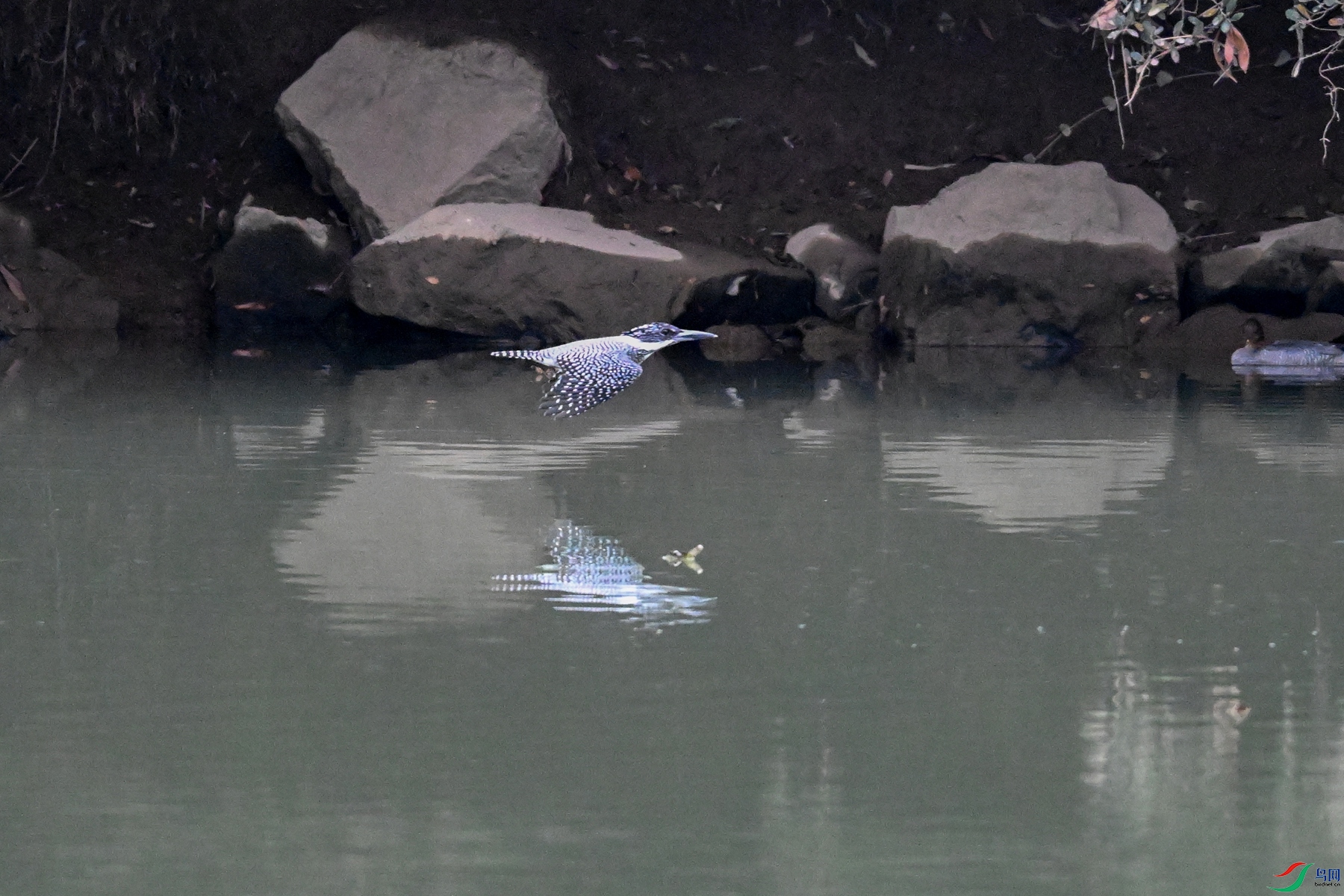DSC_6737.JPG