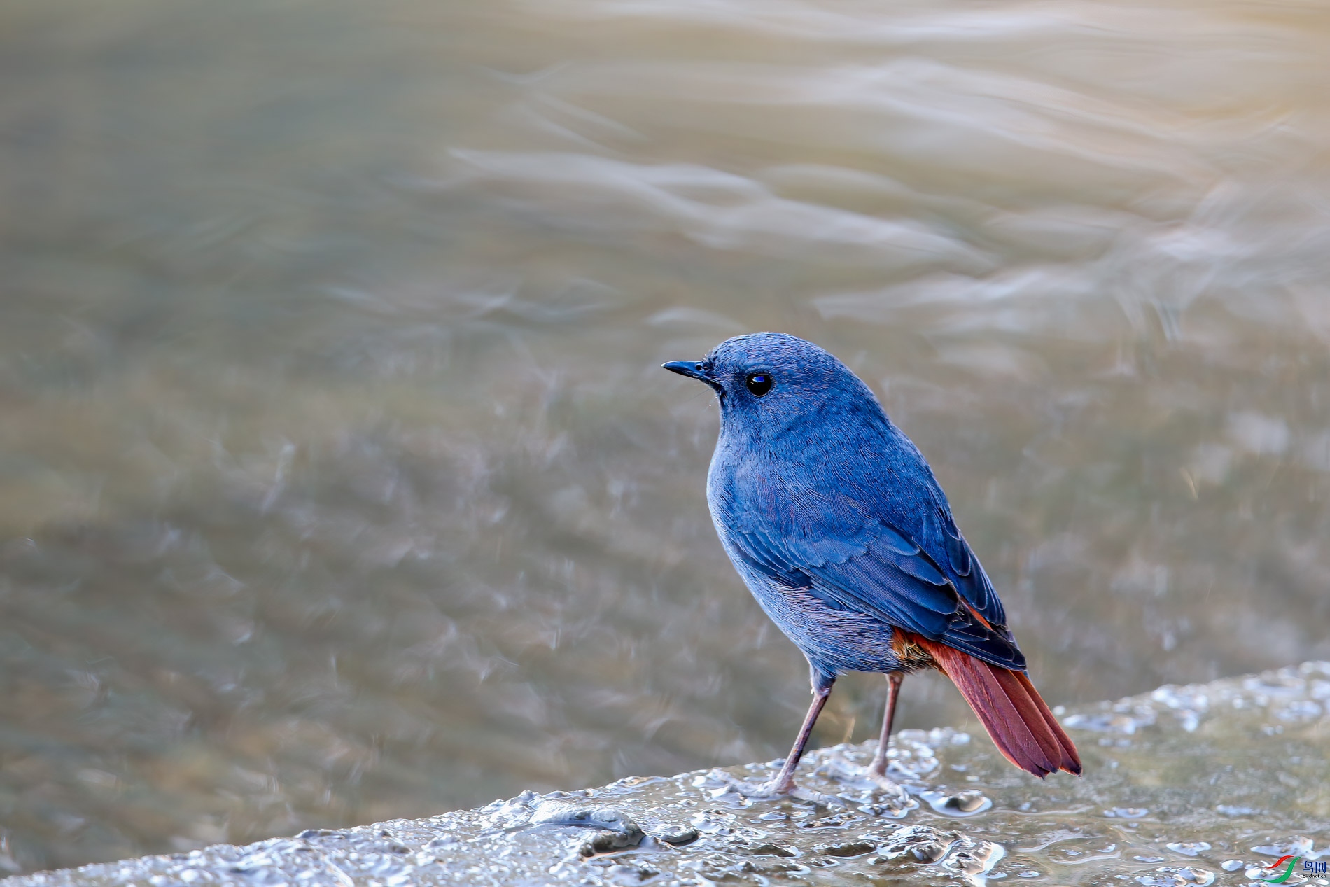 AQ4P0130-1.jpg