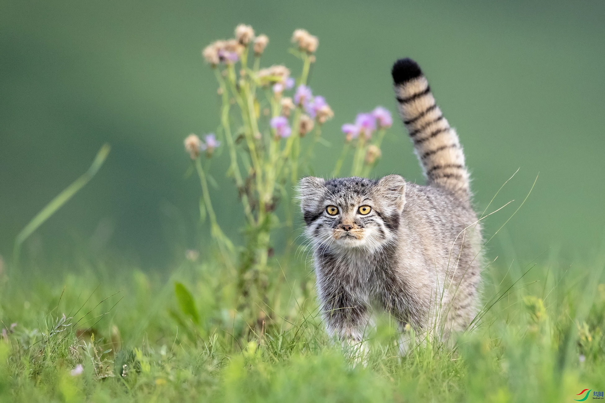 SEAH6074_������С.jpg